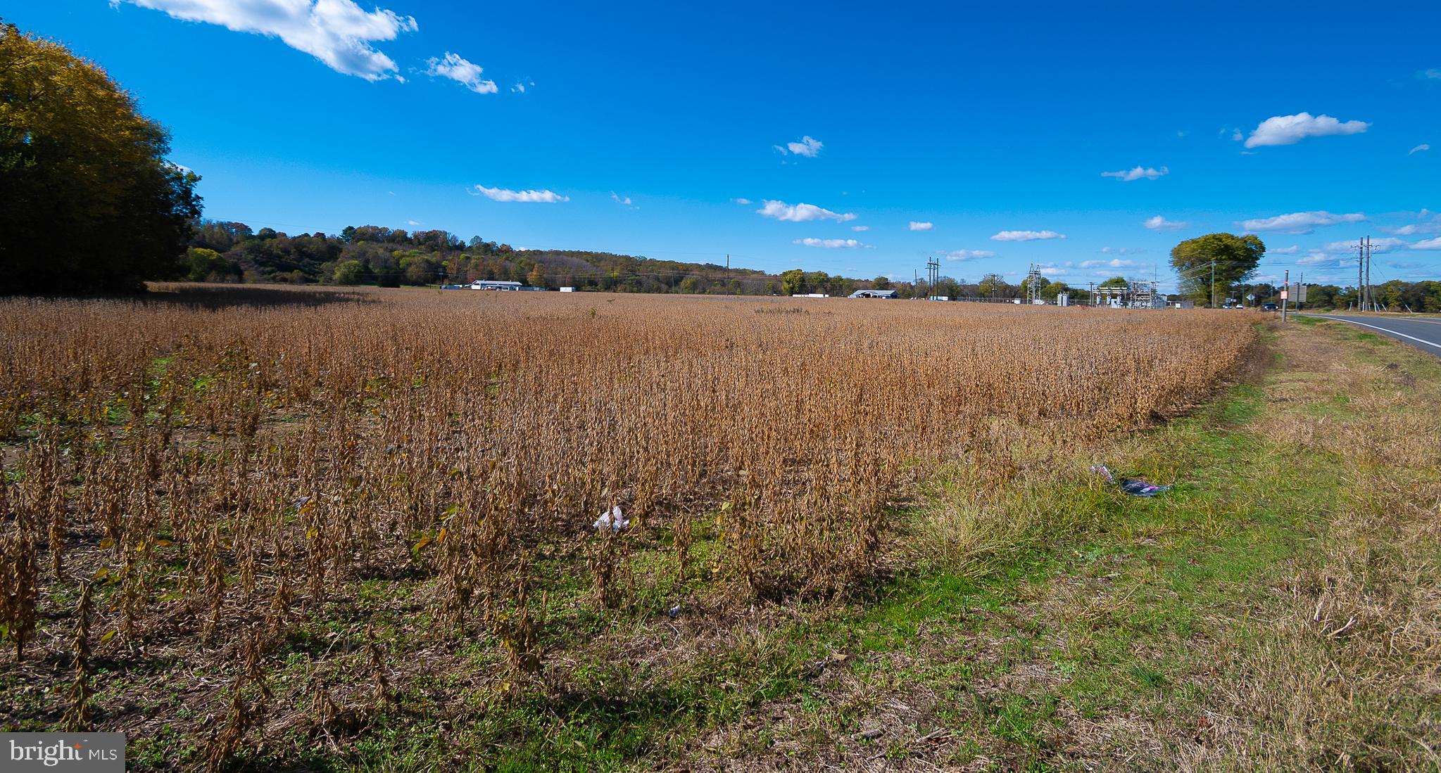 25513 TIDEWATER TRAIL