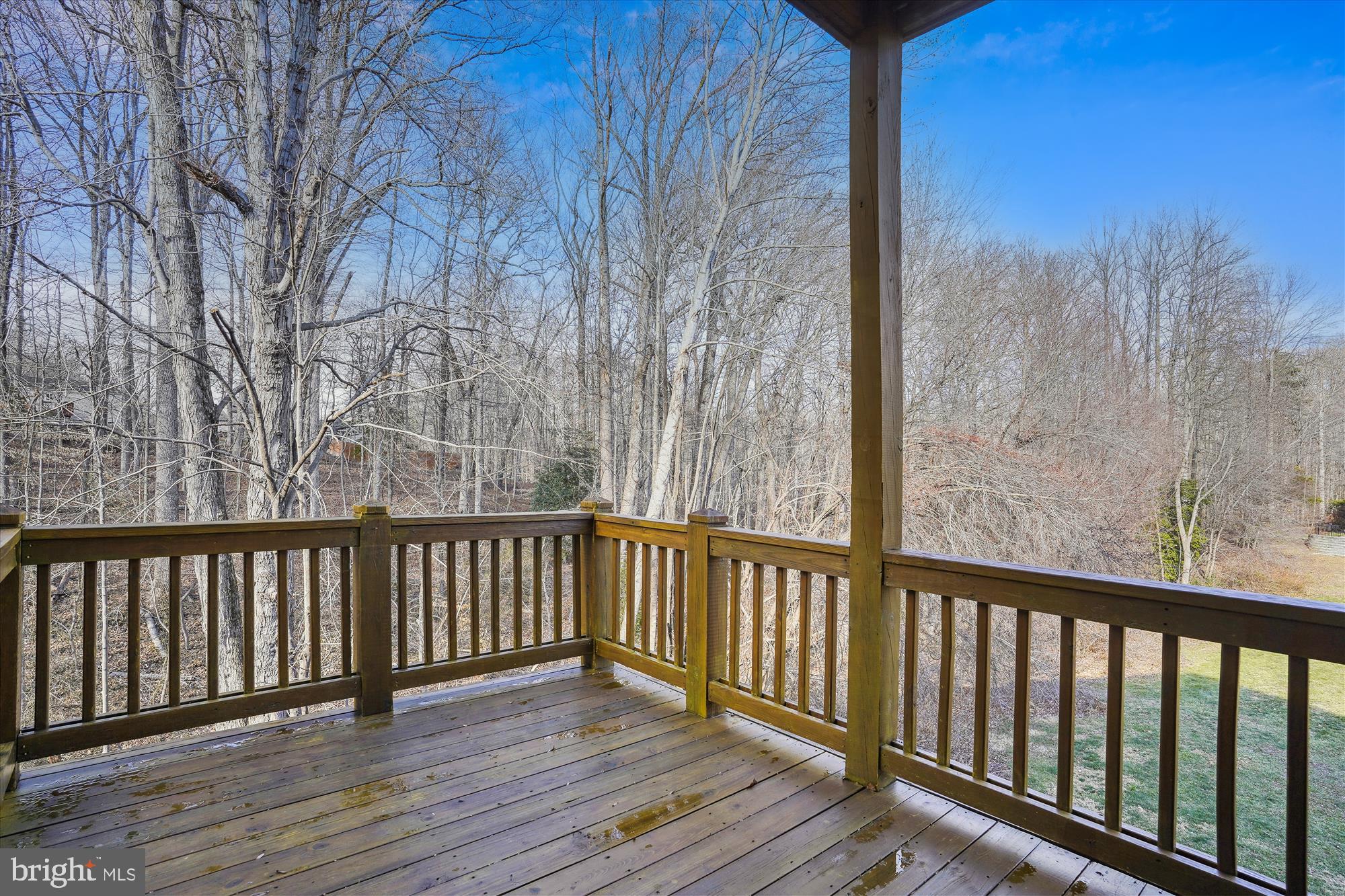 THE FOREST AT SOUTHRUN - Residential Lease