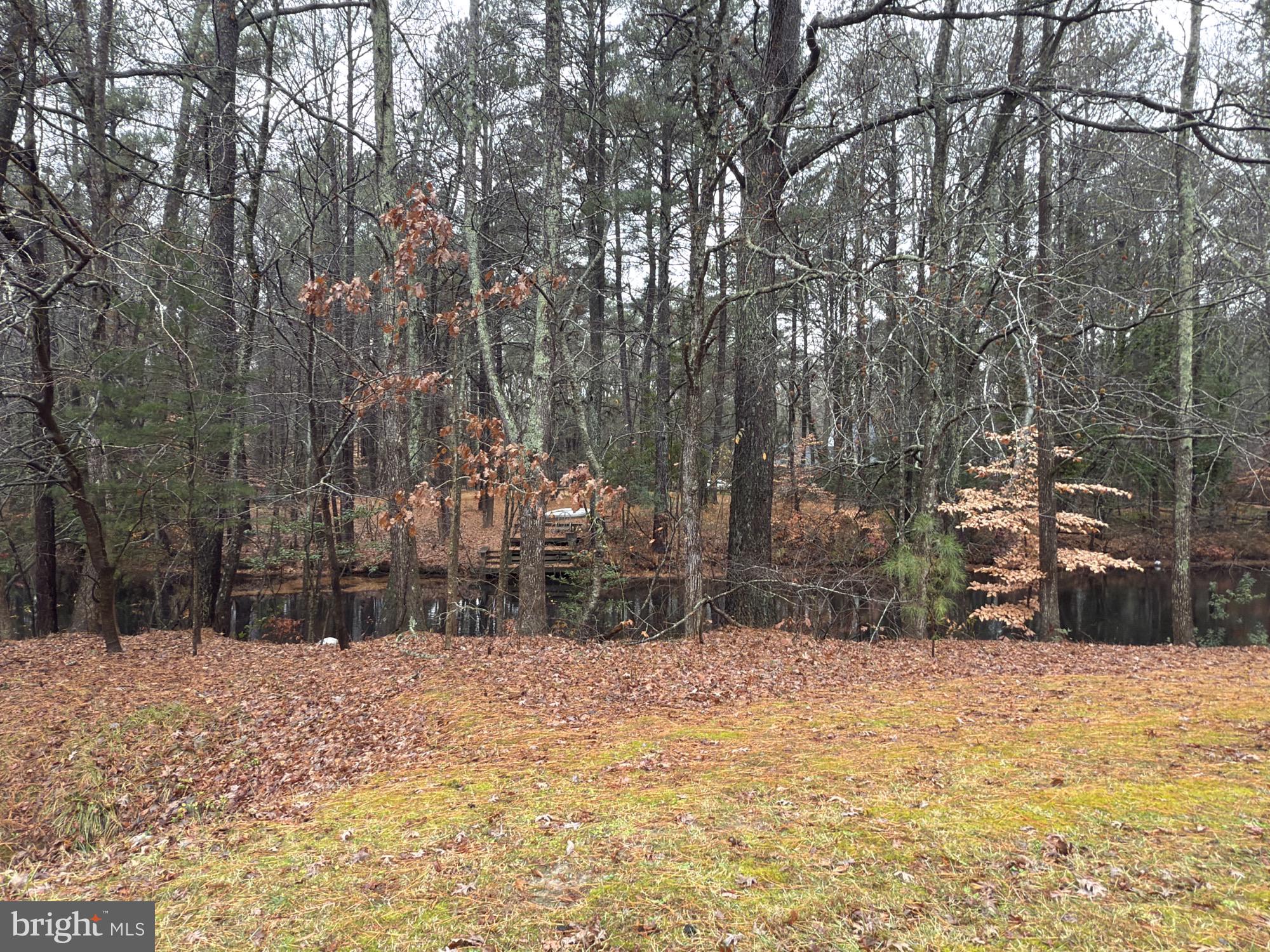 4011 GROSSE POINT DRIVE