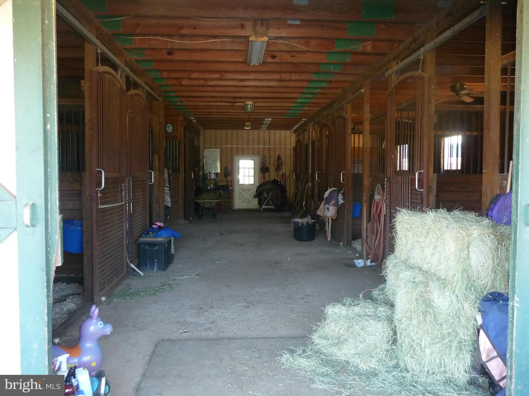 THE YEA FARM - Farm