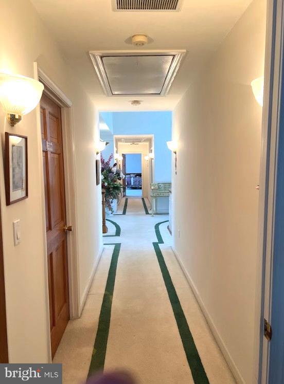 LINCOLN PARK - Residential