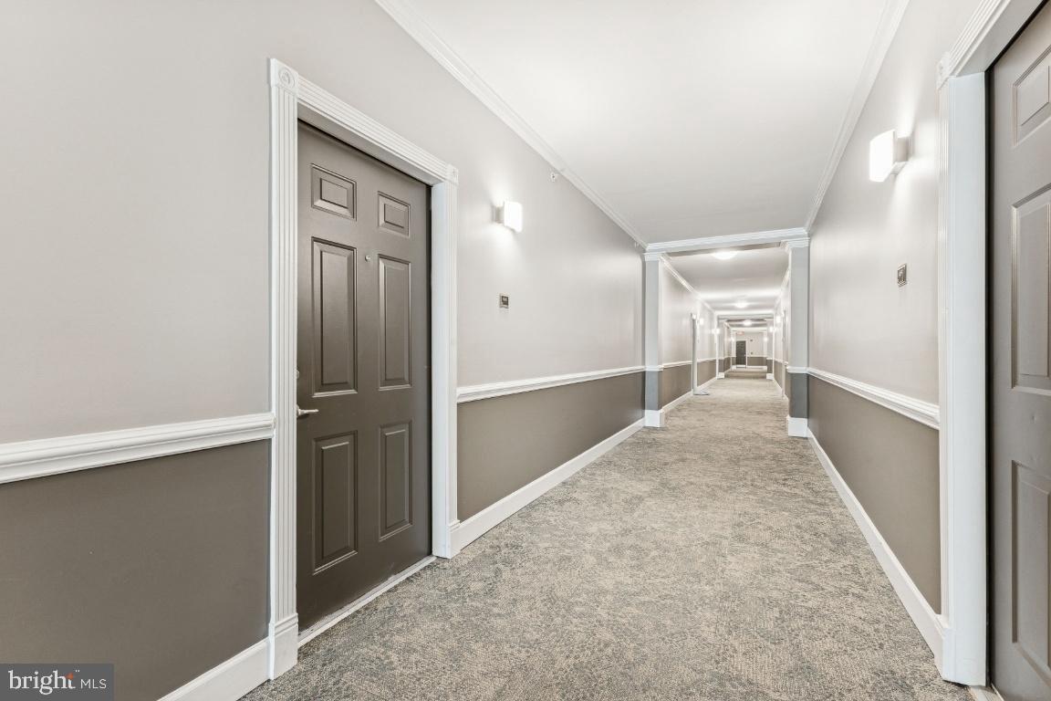 3810 LIGHTFOOT STREET 404