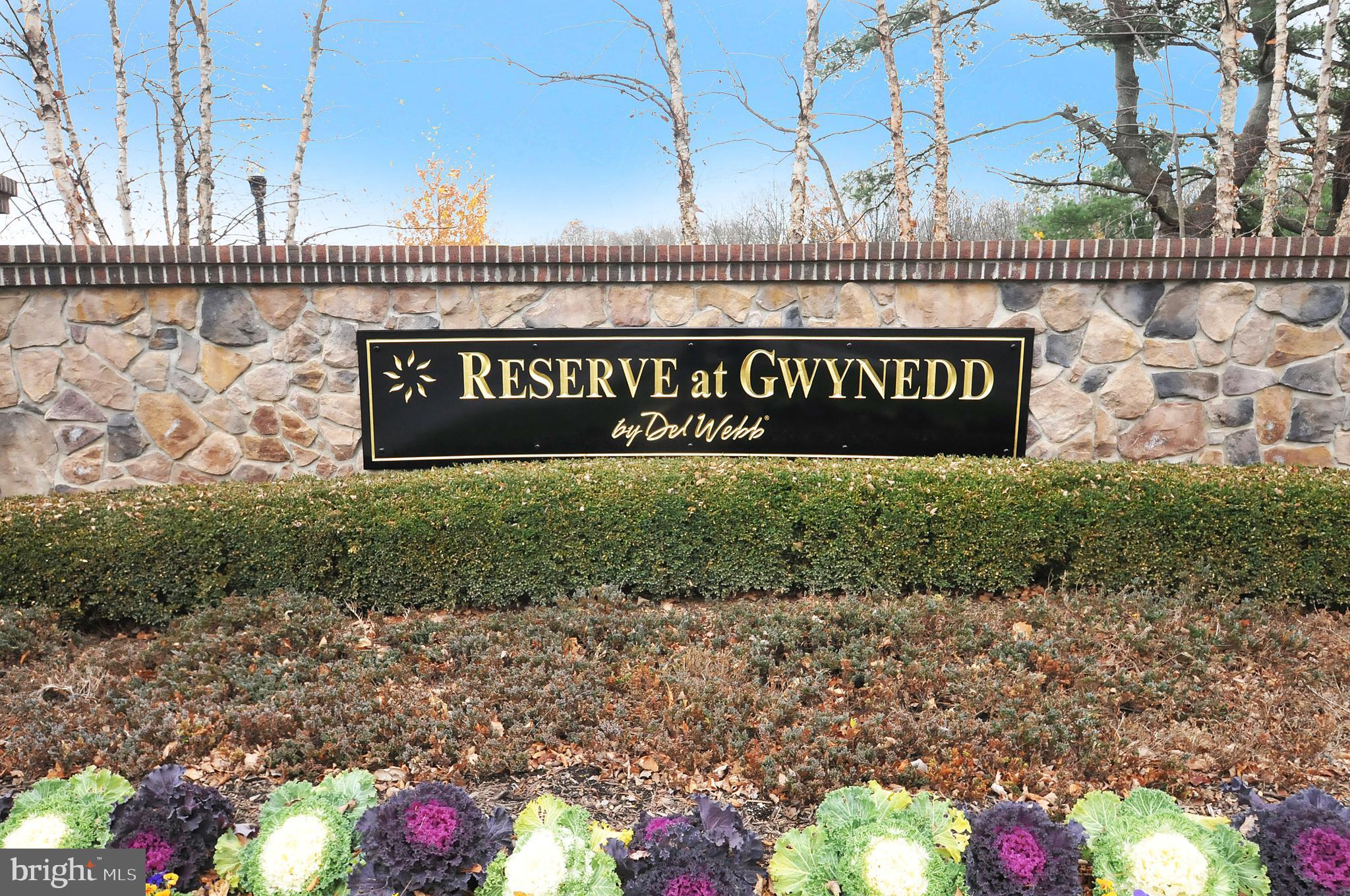 RESERVE AT GWYNEDD - Residential