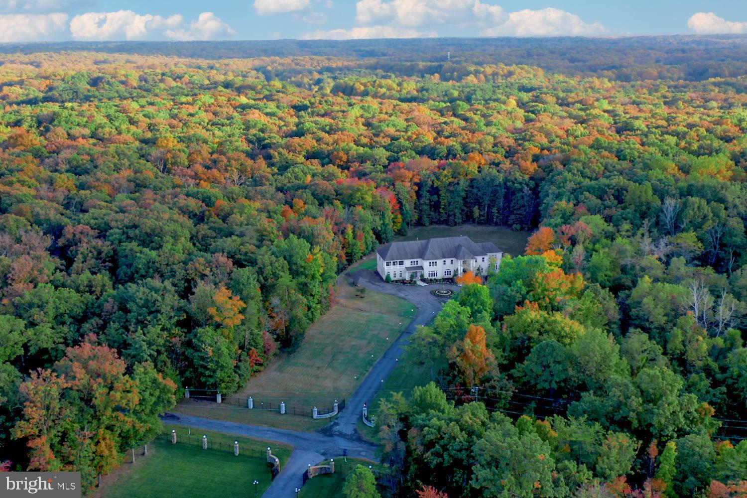 LINCOLN PARK - Residential
