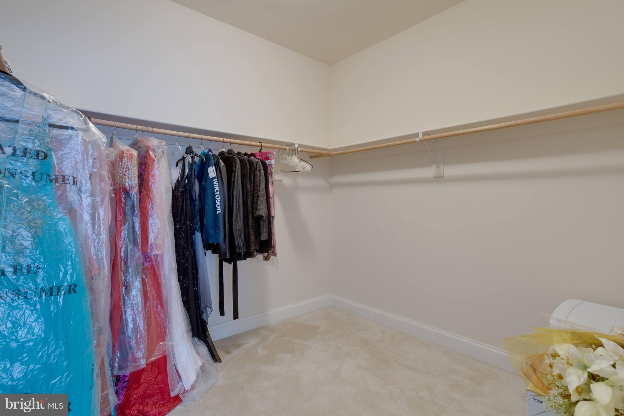 LINCOLN PARK - Residential