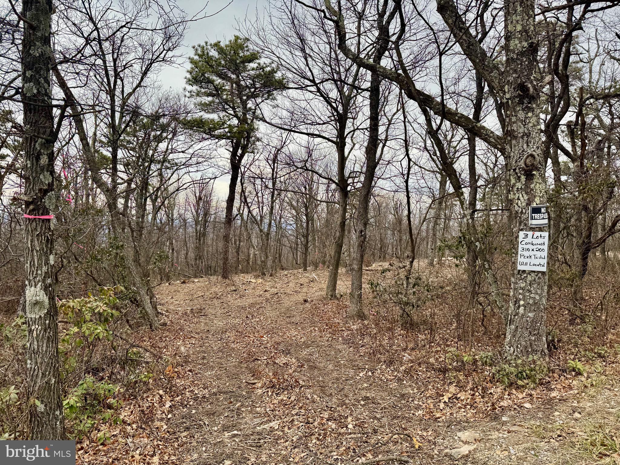 BOBCAT TRAIL LOT 153