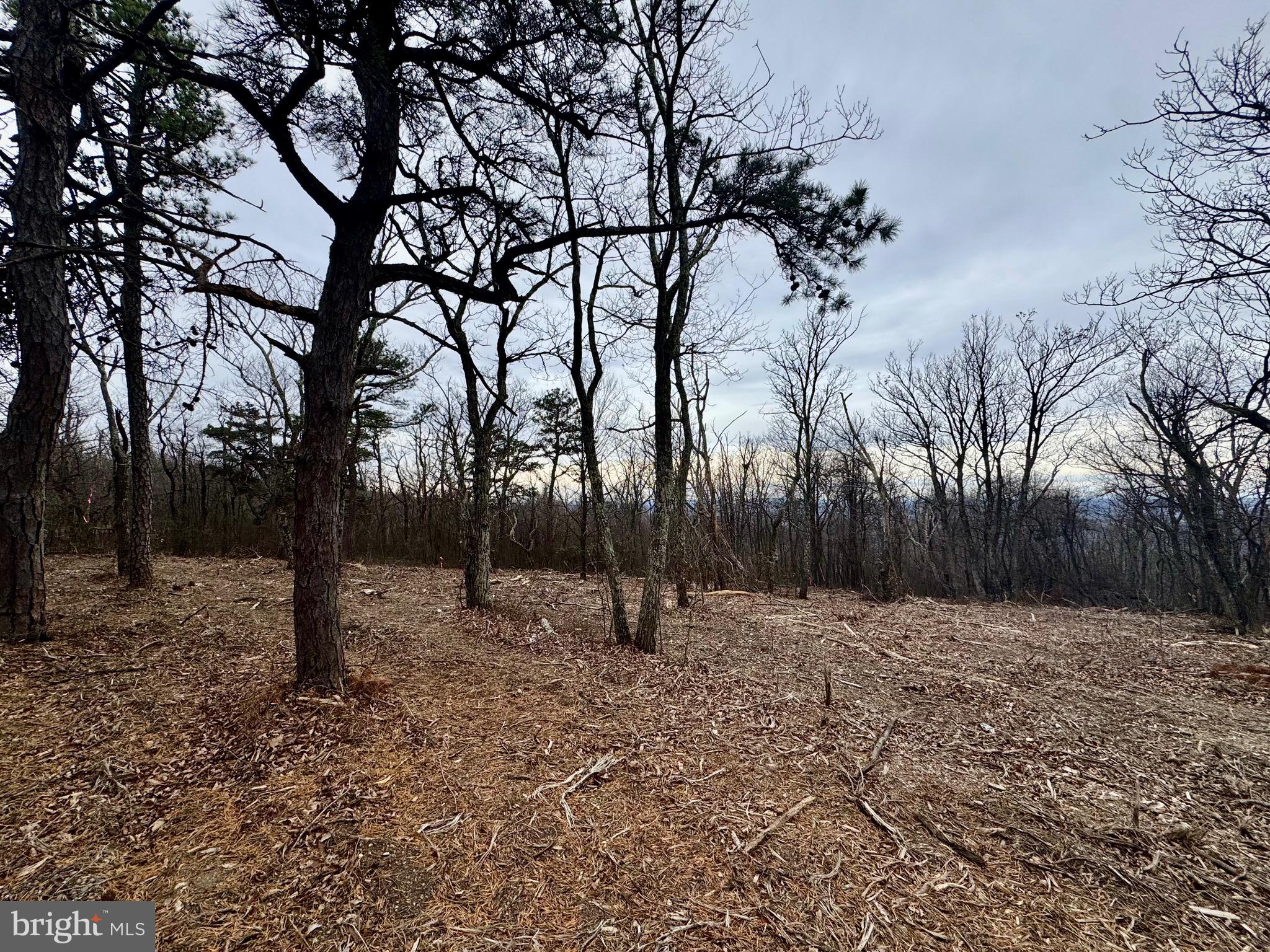 BOBCAT TRAIL LOT 153