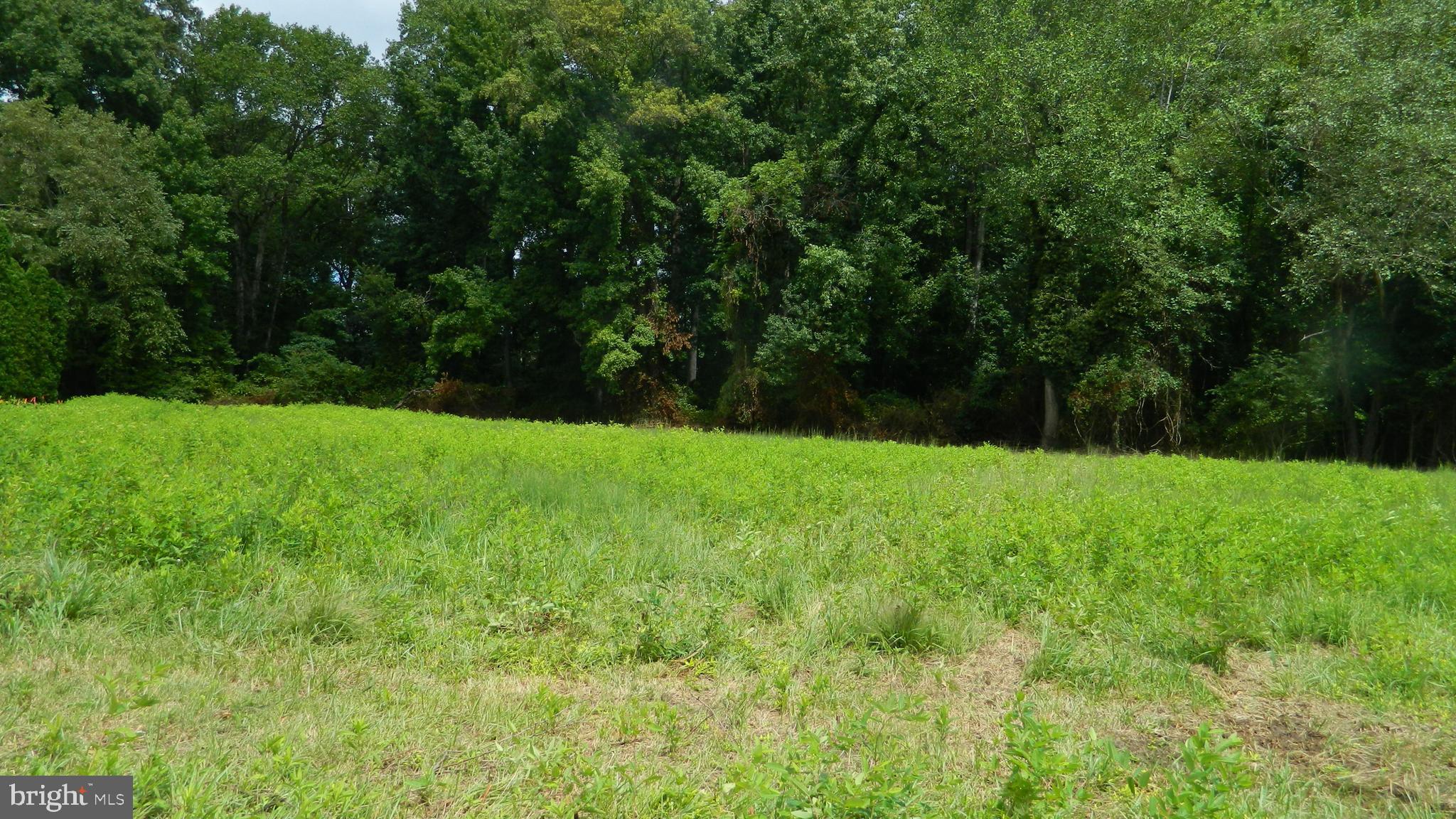 HARGREAVES DRIVE