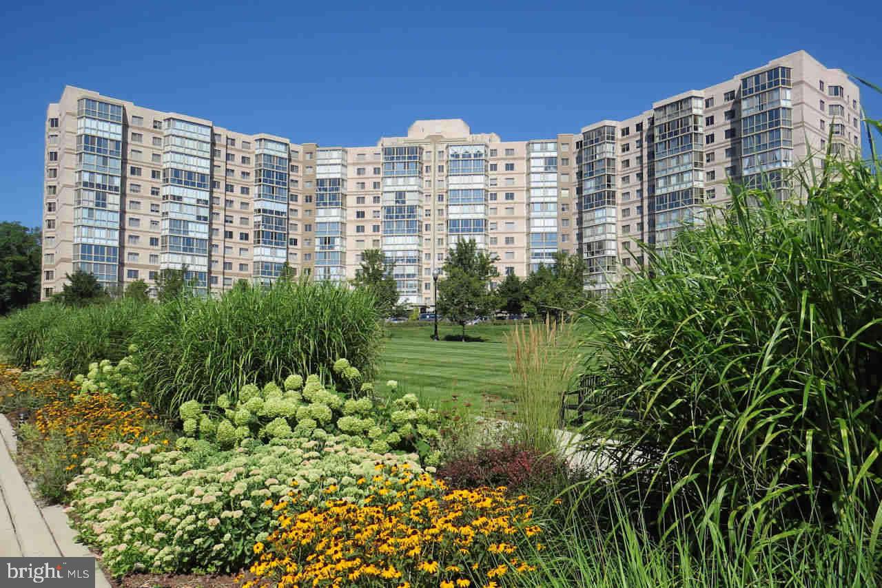 LANSDOWNE - Residential