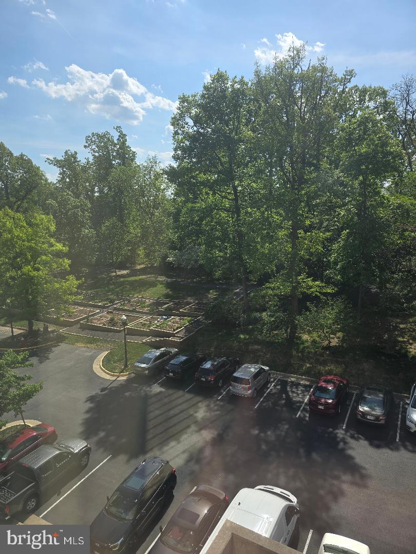 LANSDOWNE - Residential