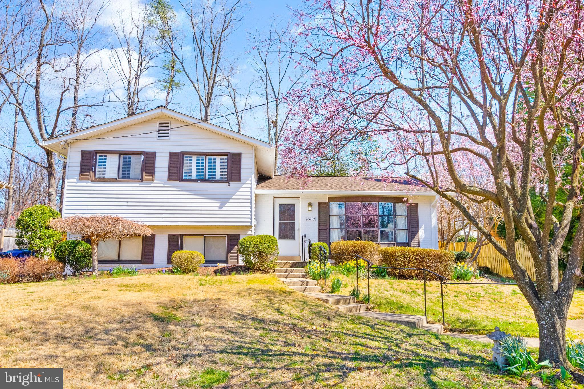 ANNANDALE TERRACE - Residential