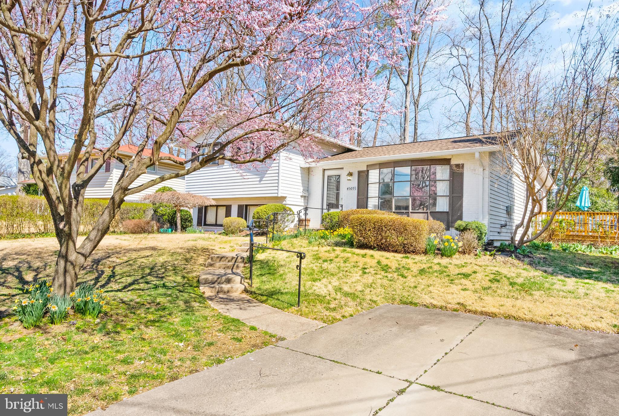 ANNANDALE TERRACE - Residential