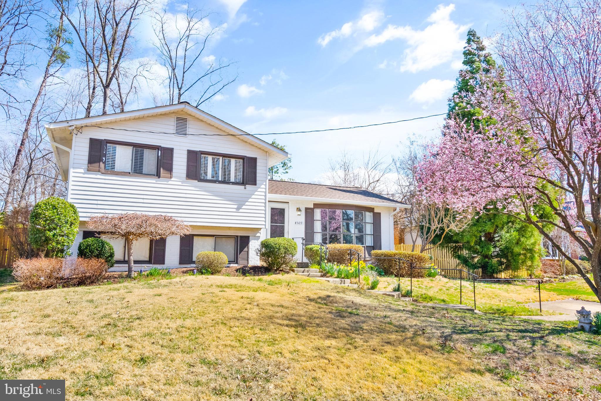 ANNANDALE TERRACE - Residential