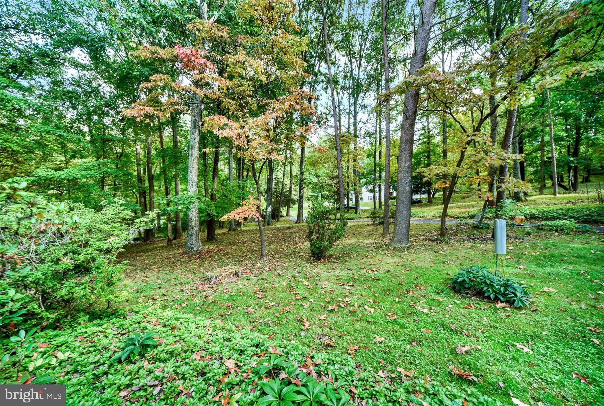 CAVESWOOD - Residential