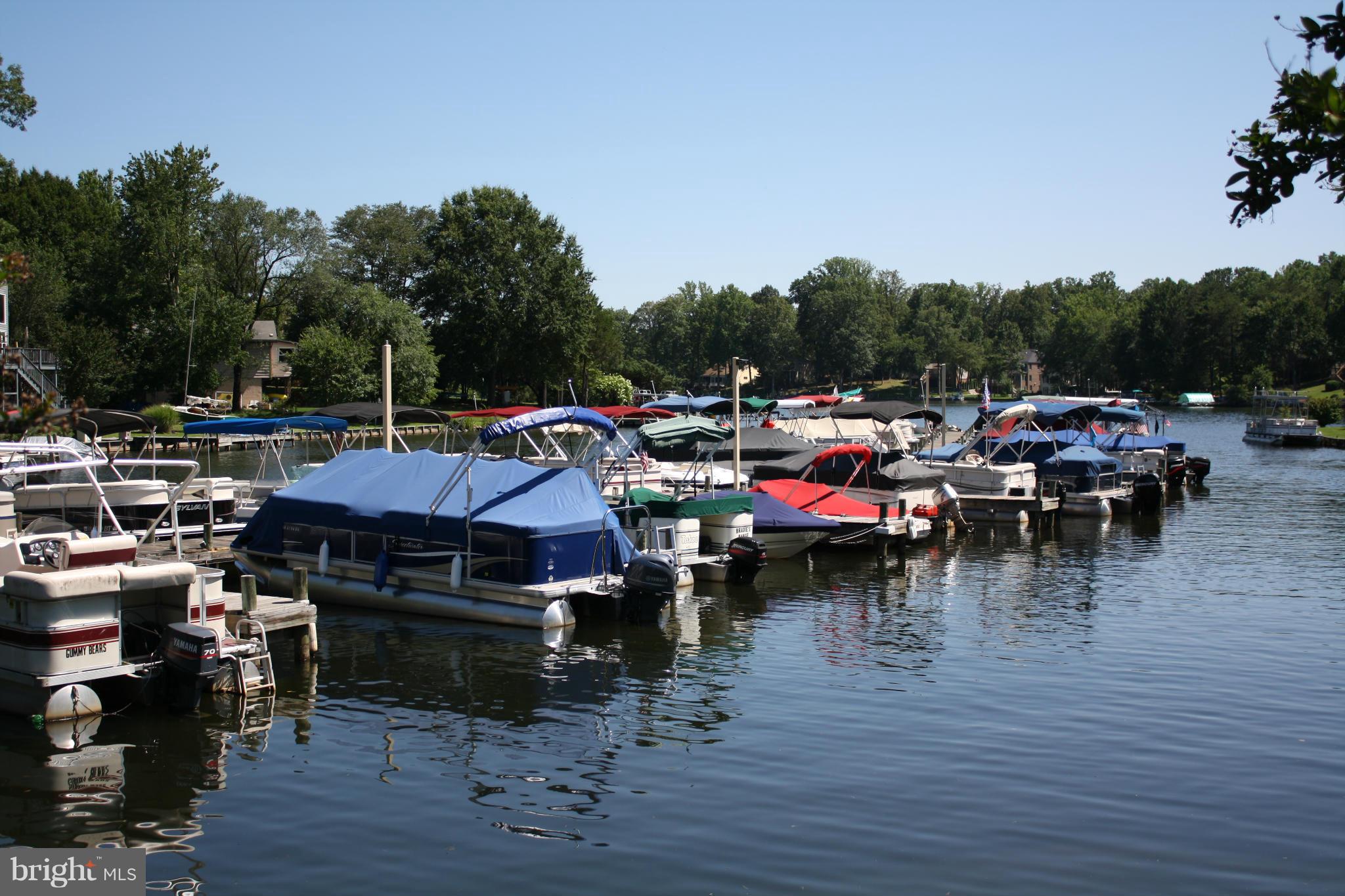 LAKE OF THE WOODS - Residential