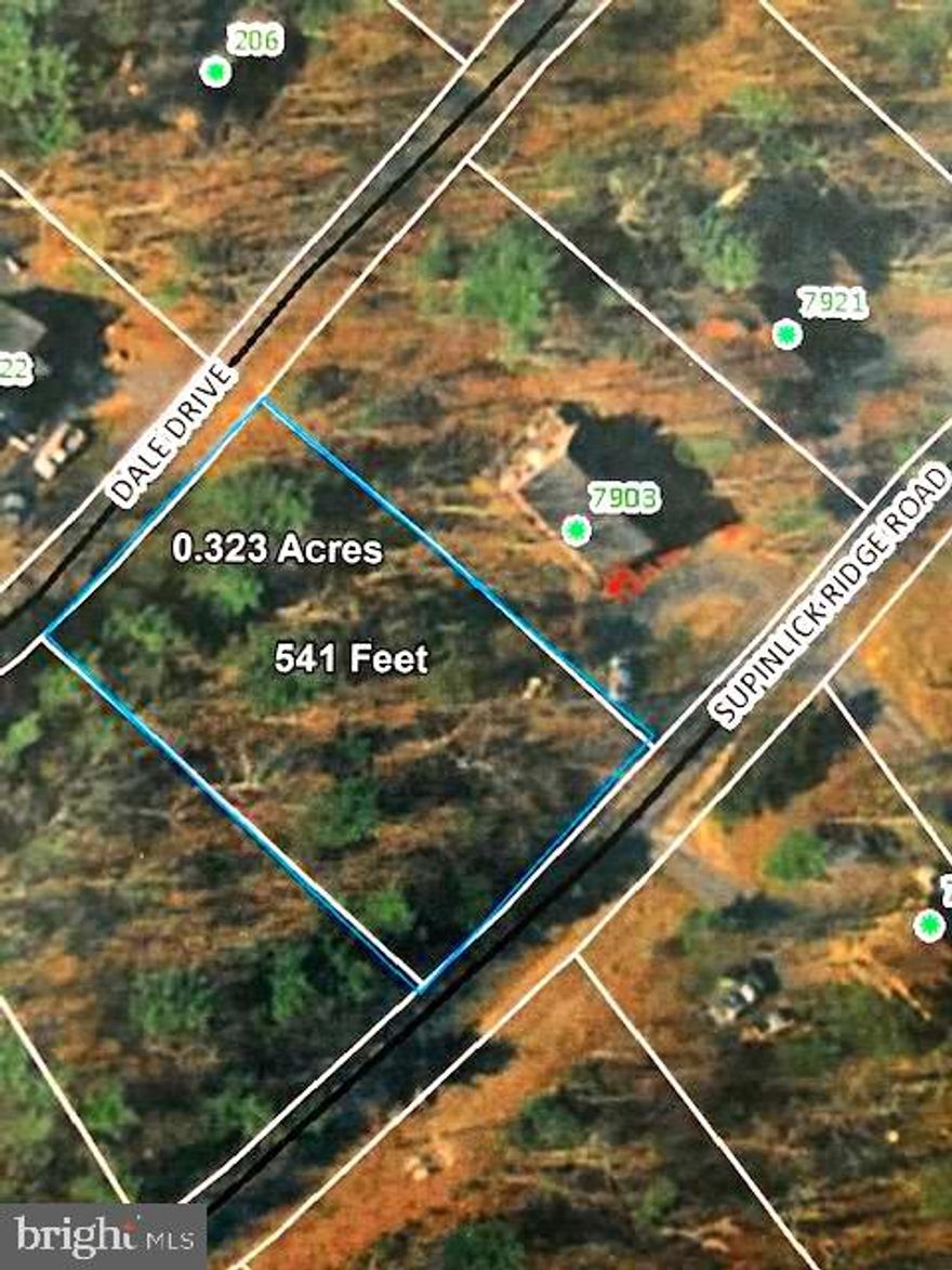 Views  - In Bryce Resort - Easy access all paved roads. Dual street off Supinlick Ridge or Dale Dr.  A wonderful building lot with views. Don't miss this one!  Minutes from the resort center. Bryce  Resort offers the following: Airport, Library, Dog Park, Indoor Saltwater Swimming Pool, Inground Outdoor Swimming Pool W/Lazy River, Club House, Restaurants, Pickleball, Playground, 18  Golf, Lake, Mtn Biking, Skiing, Snowboarding, Ice-Skating Rink, to name a few. 1.5 hours from NoVA
