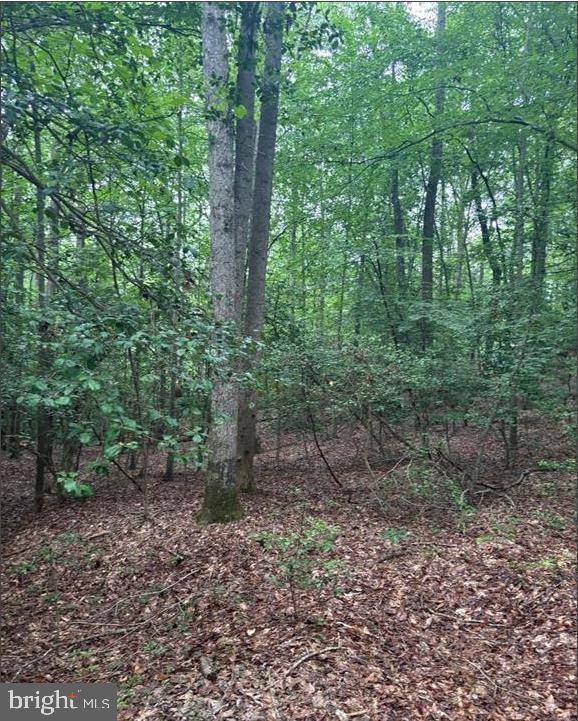 16661 BALD EAGLE SCHOOL ROAD