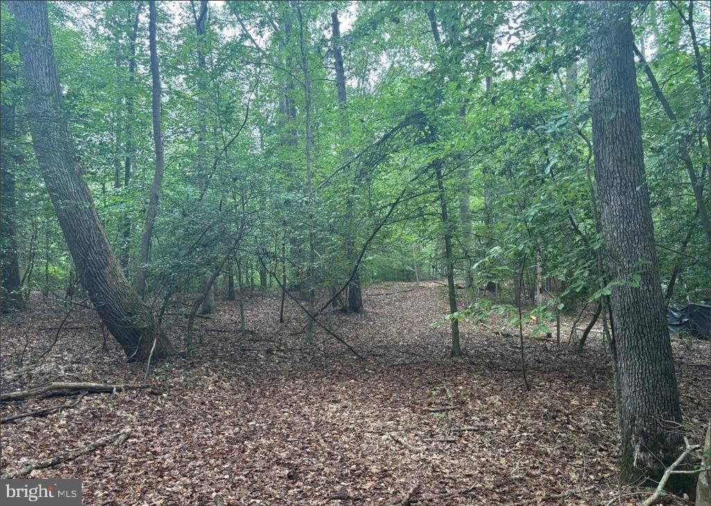 16661 BALD EAGLE SCHOOL ROAD