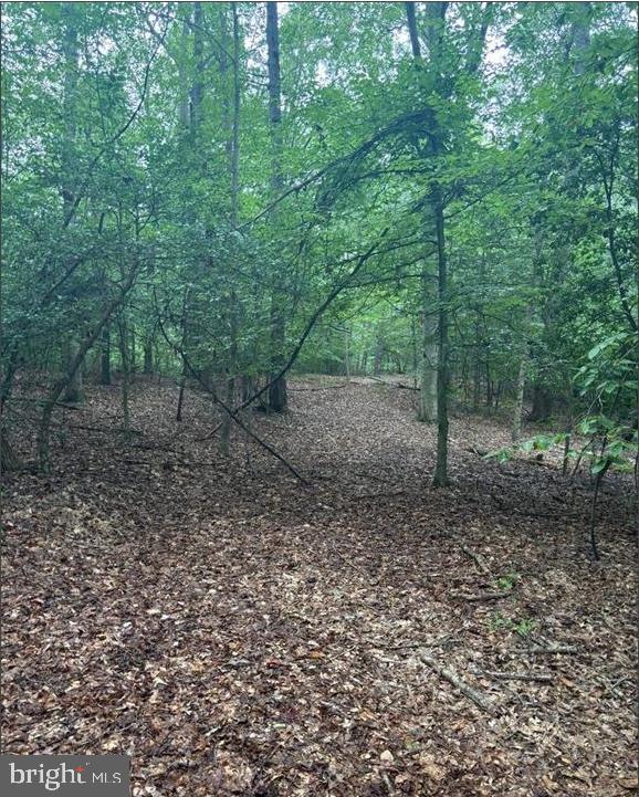 16661 BALD EAGLE SCHOOL ROAD