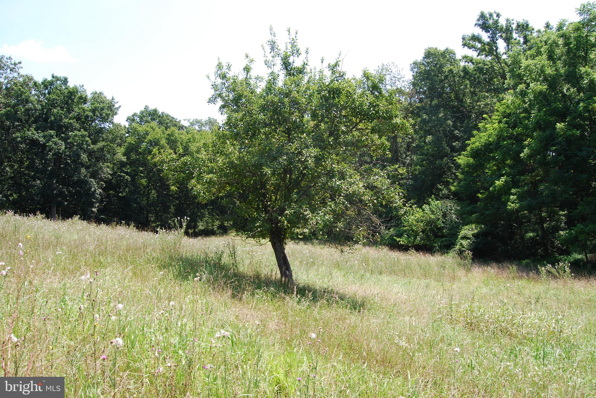 FOREST HEIGHTS - Farm