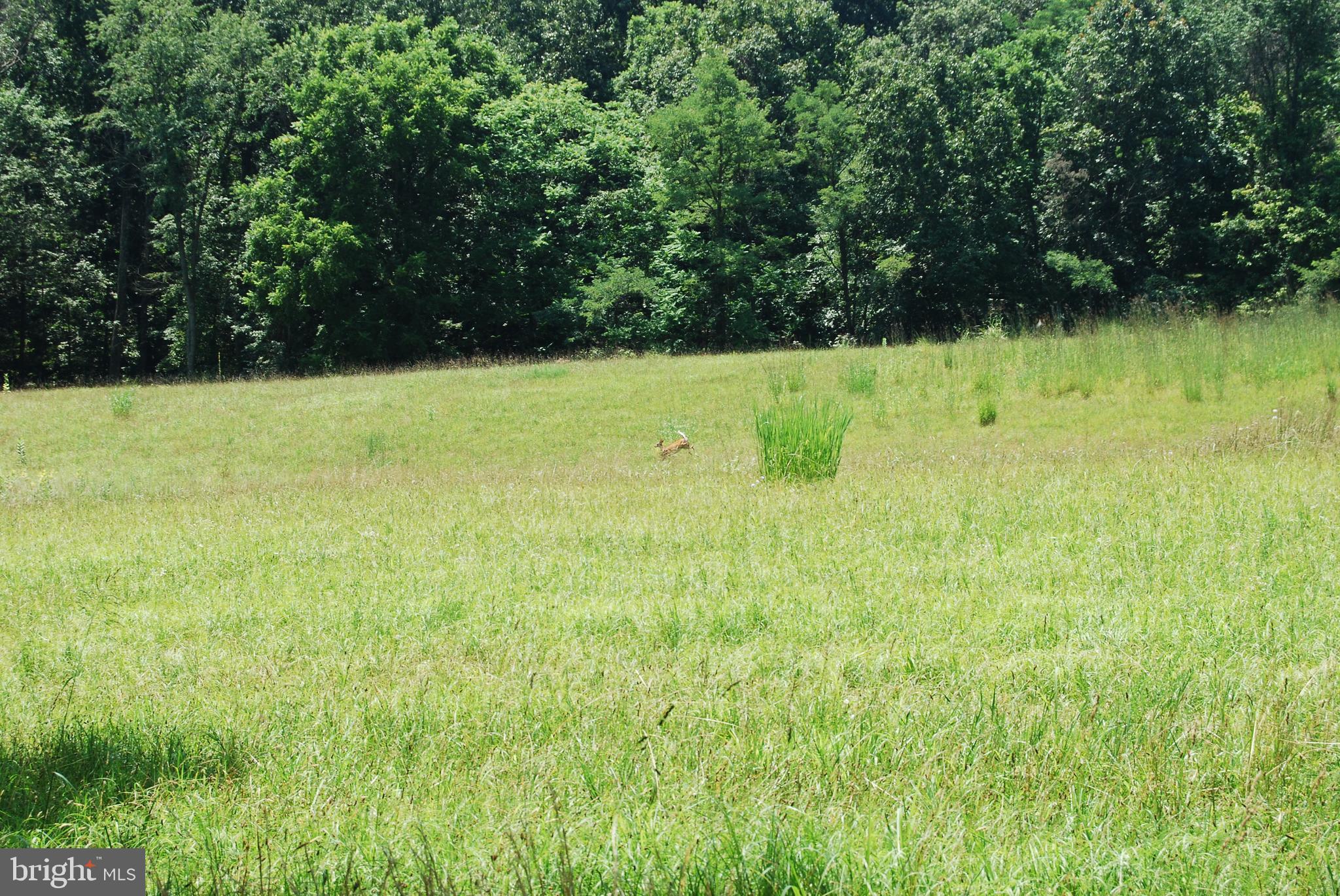 FOREST HEIGHTS - Farm