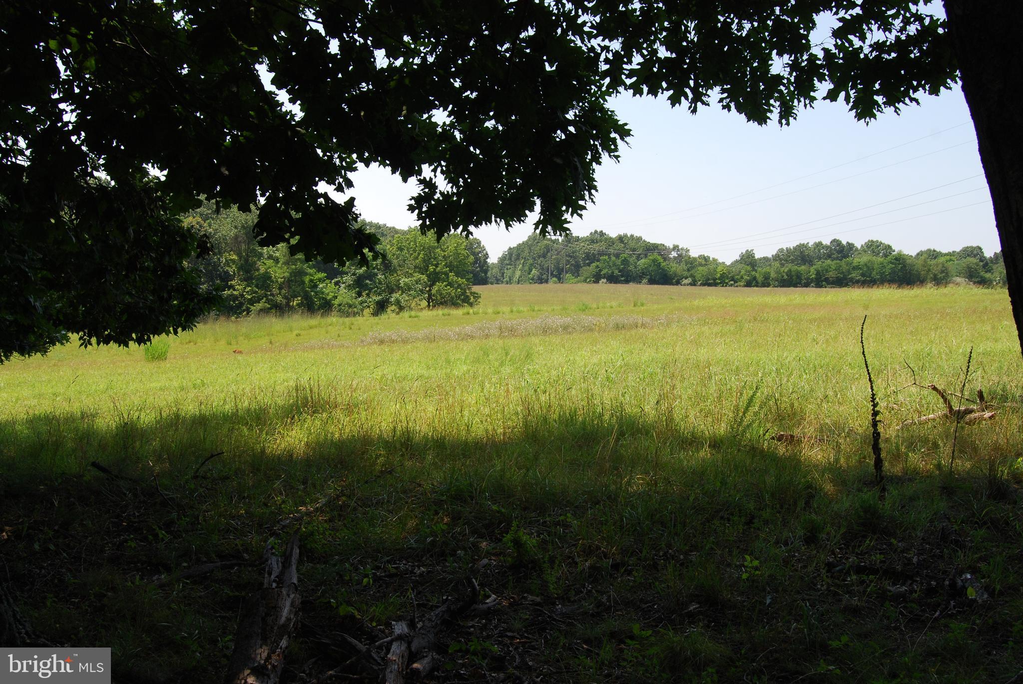 FOREST HEIGHTS - Farm