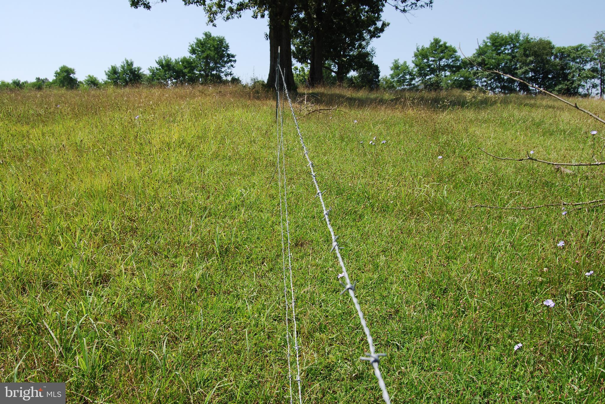 FOREST HEIGHTS - Farm