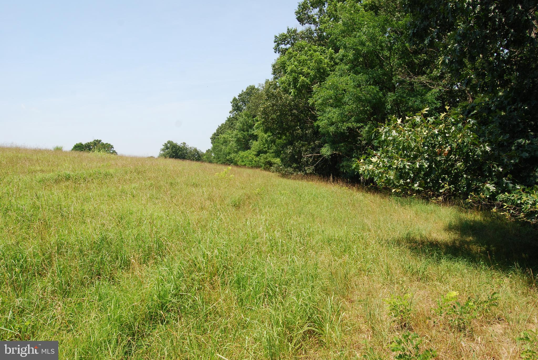 FOREST HEIGHTS - Farm