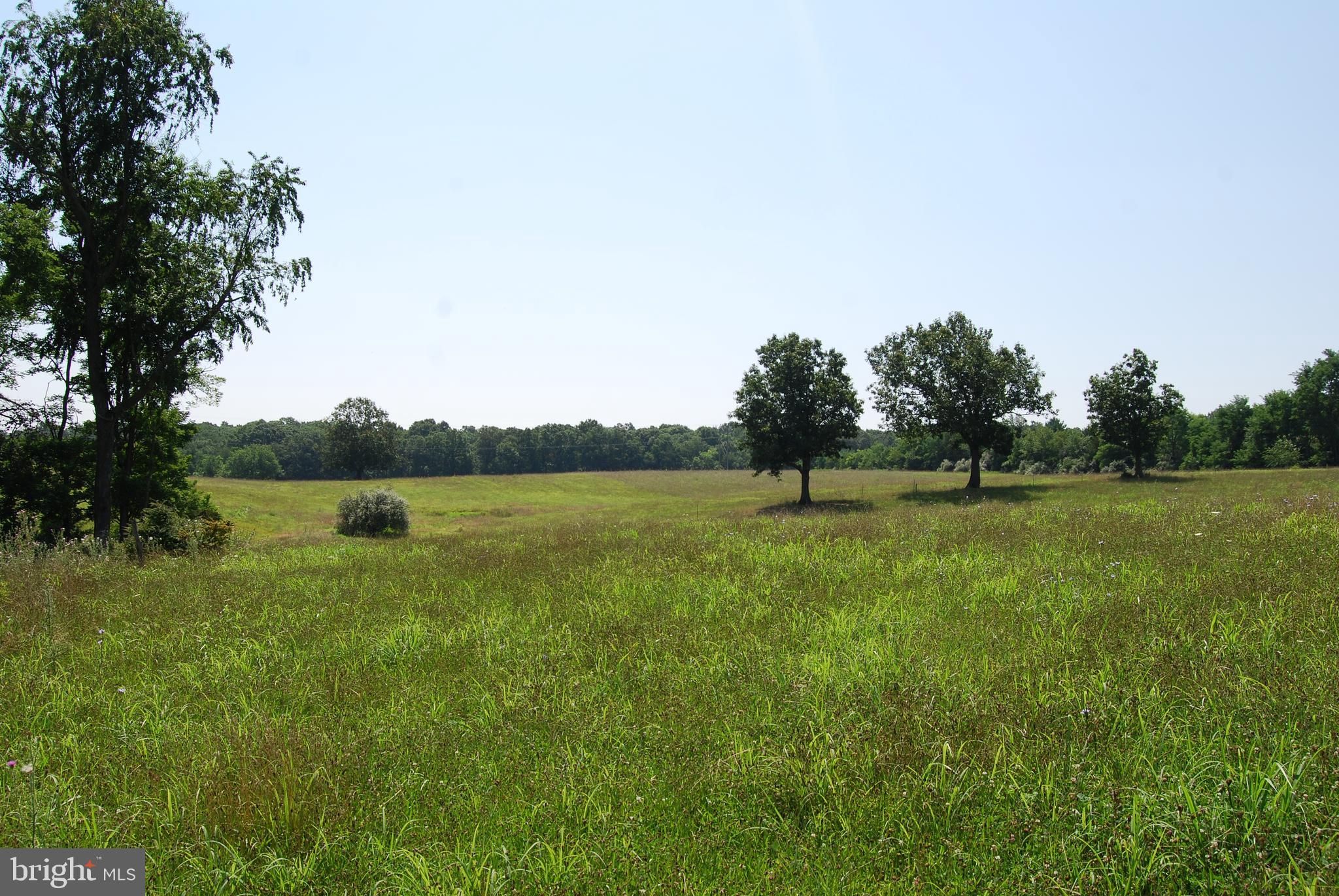 FOREST HEIGHTS - Farm