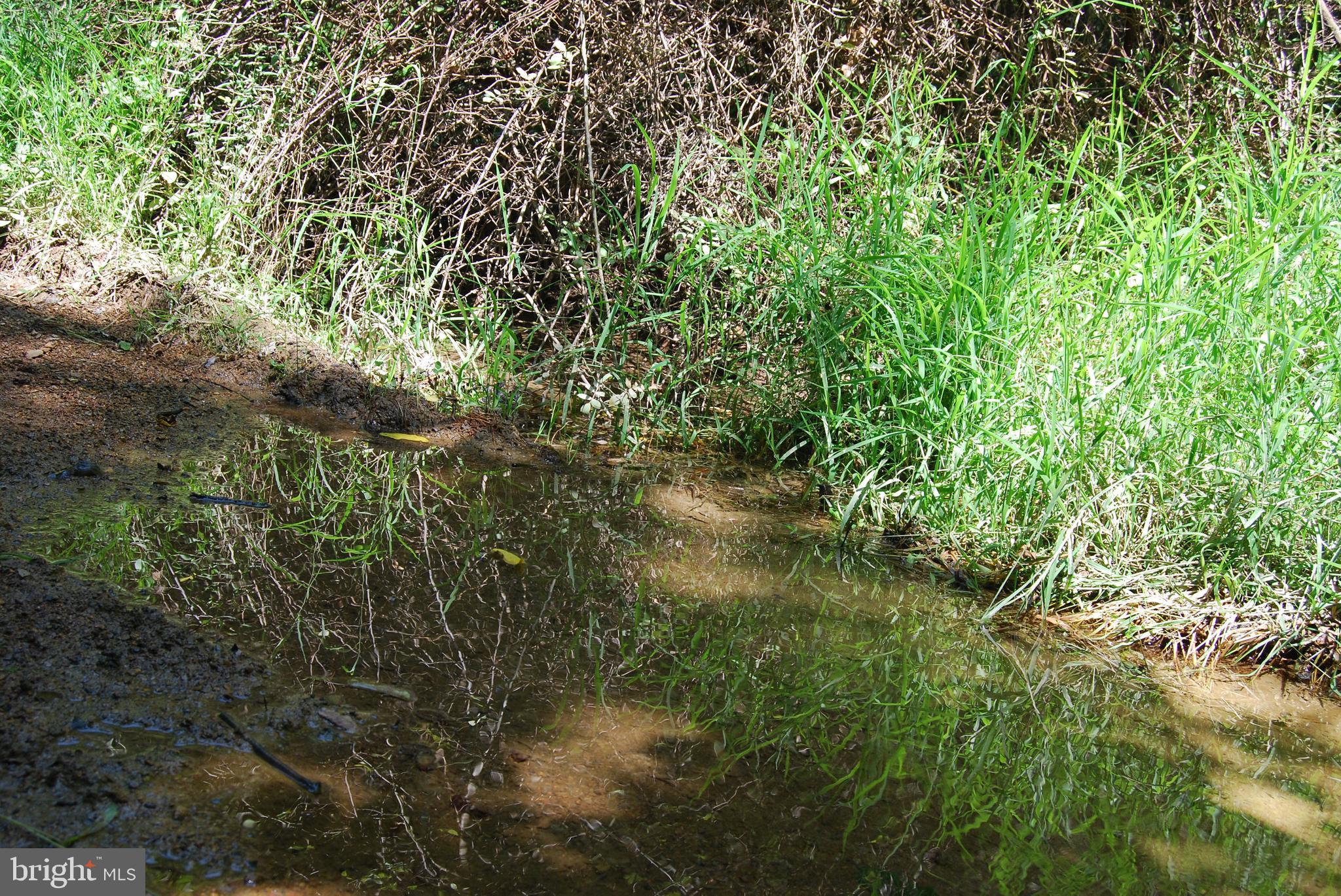 FOREST HEIGHTS - Farm