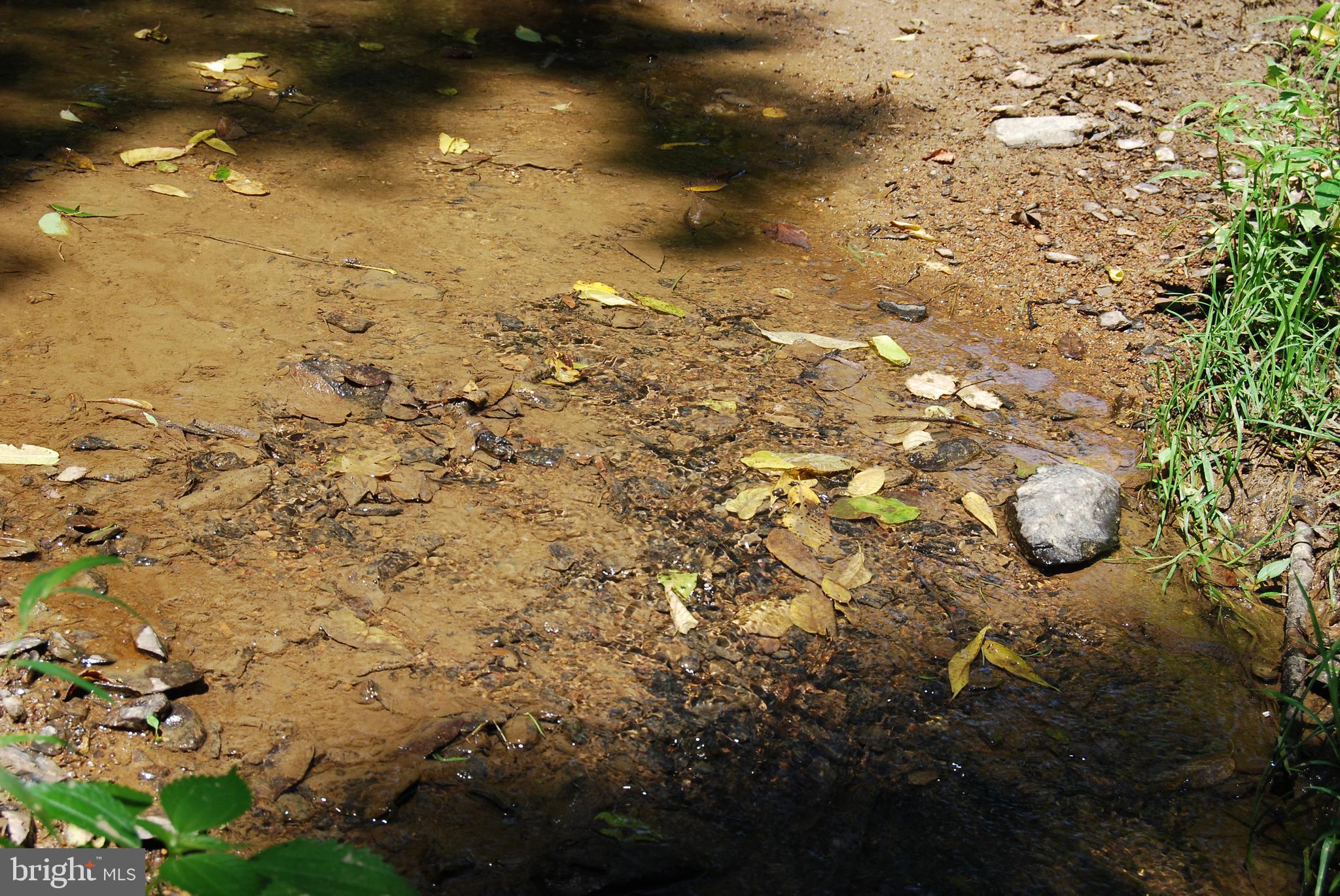 FOREST HEIGHTS - Farm