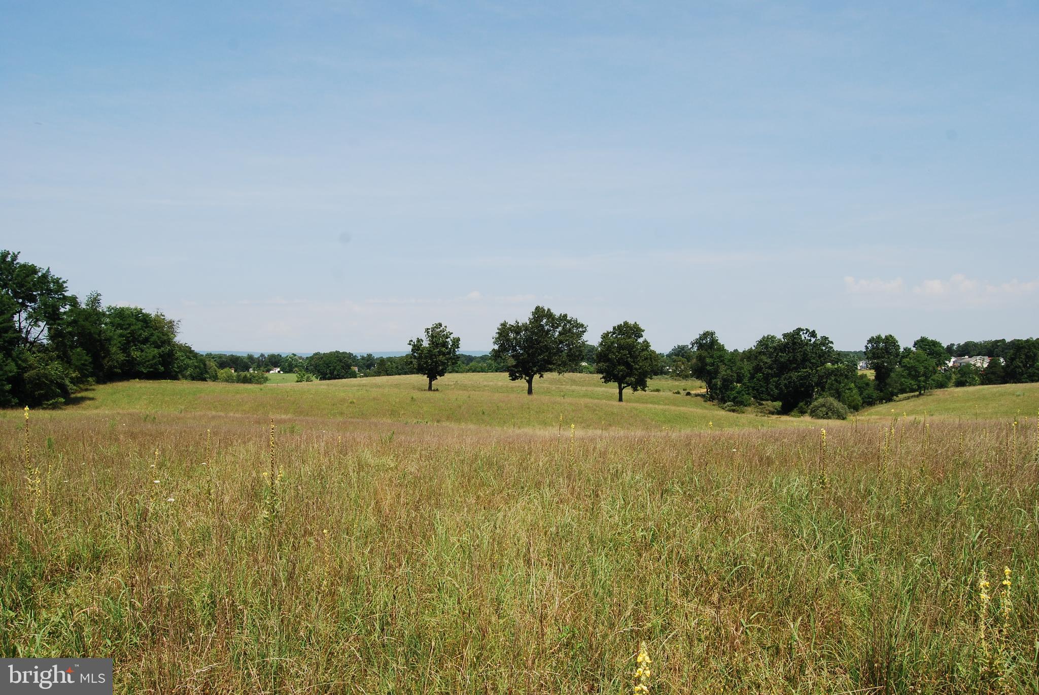 FOREST HEIGHTS - Farm