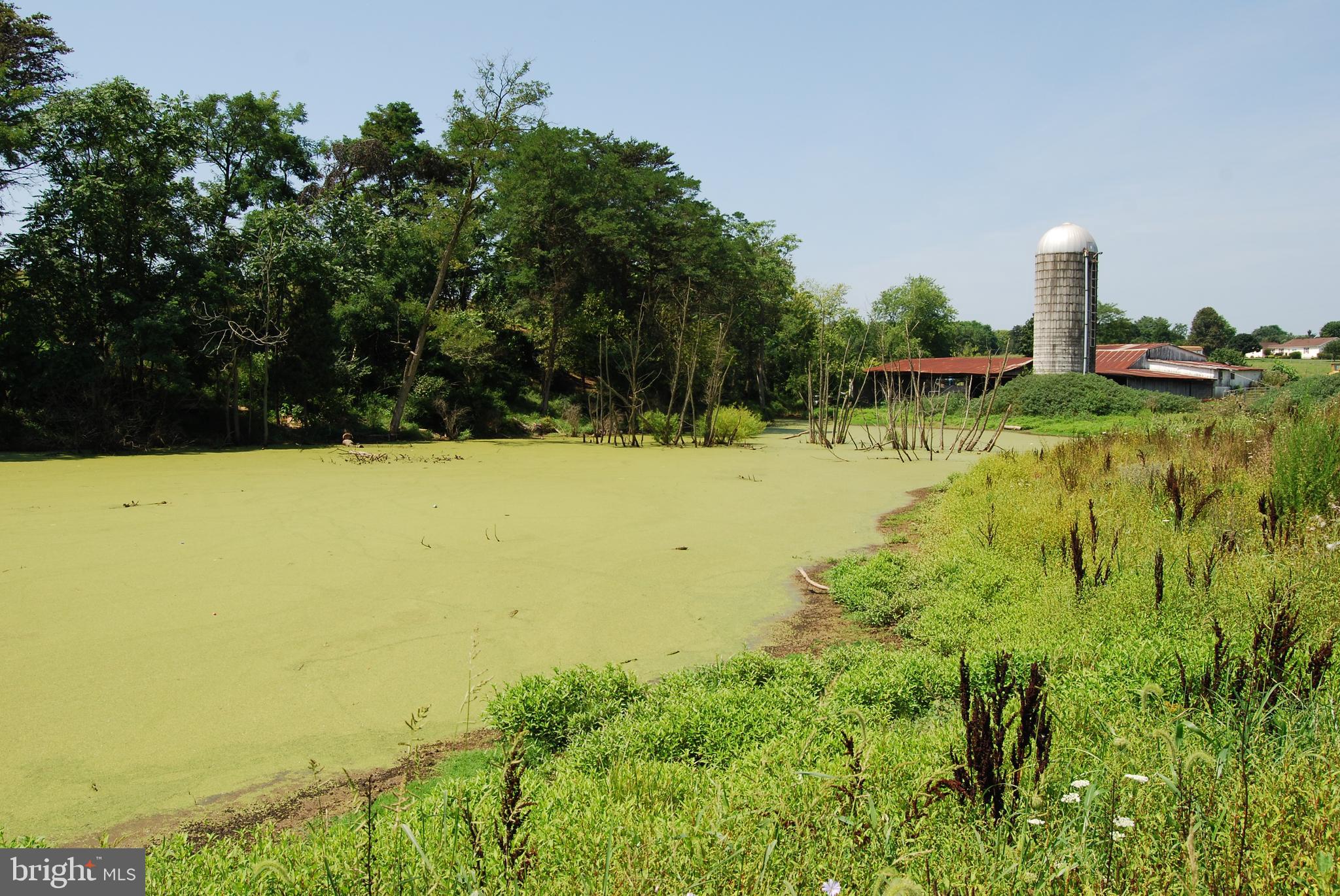 FOREST HEIGHTS - Farm