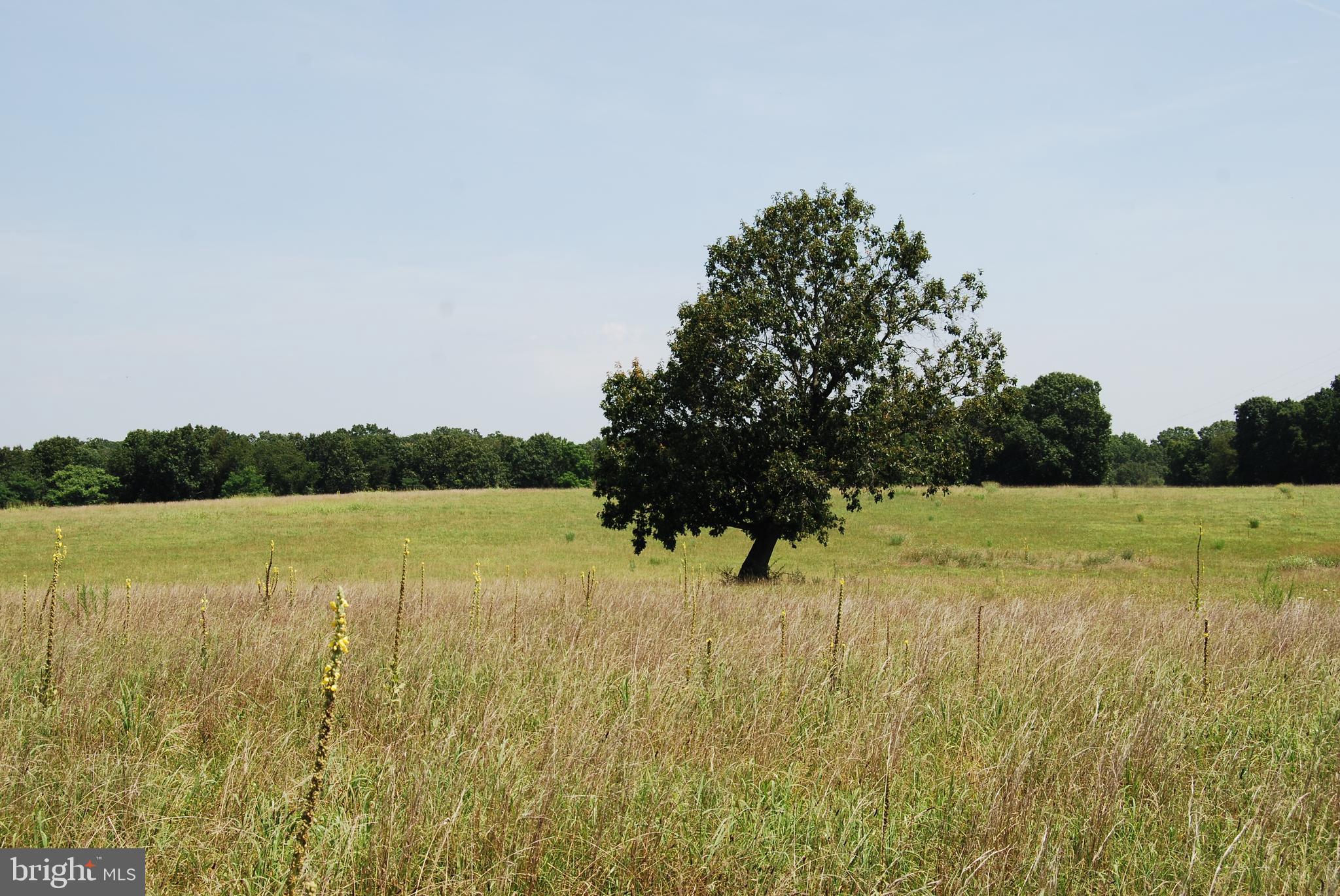 FOREST HEIGHTS - Farm