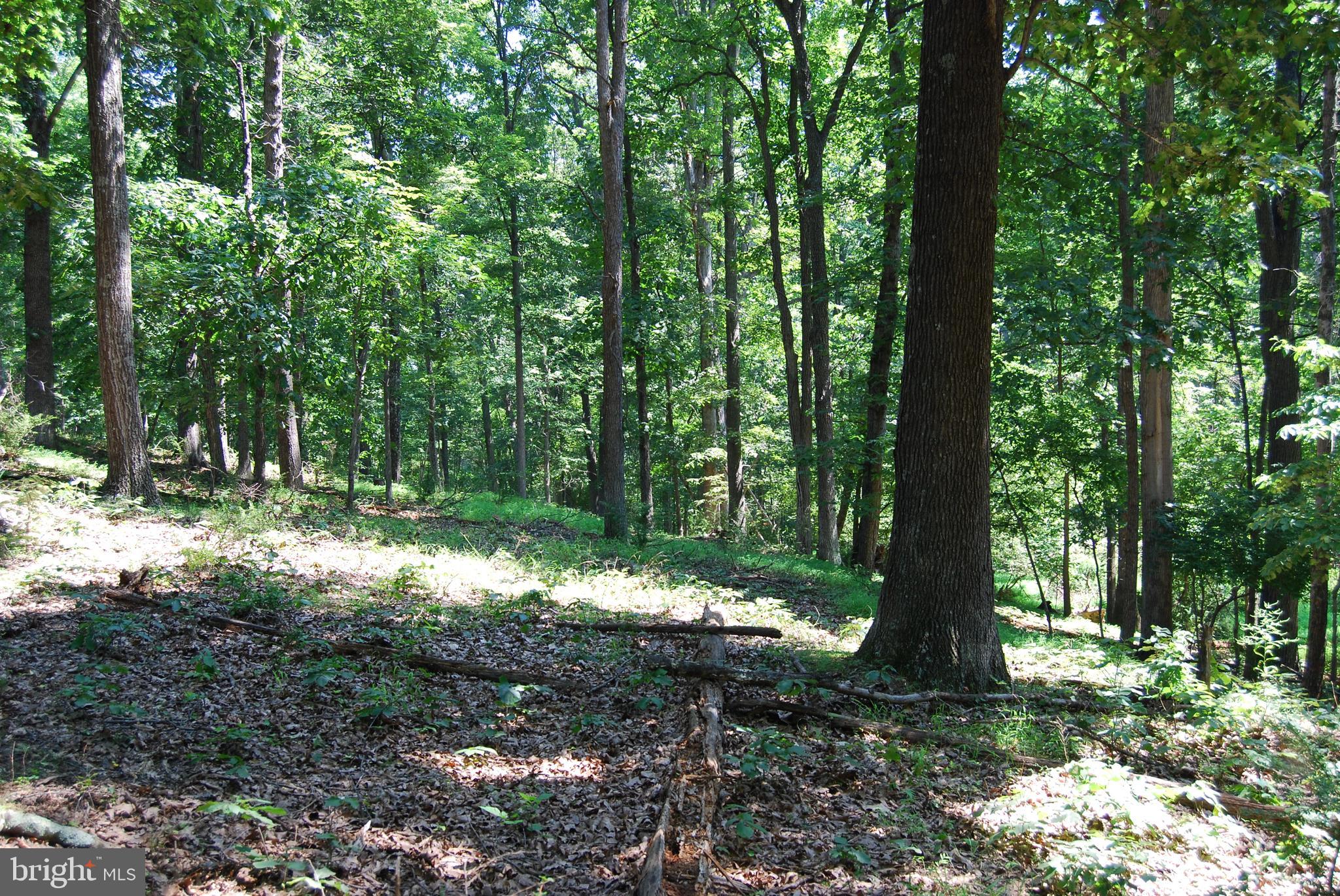 FOREST HEIGHTS - Farm