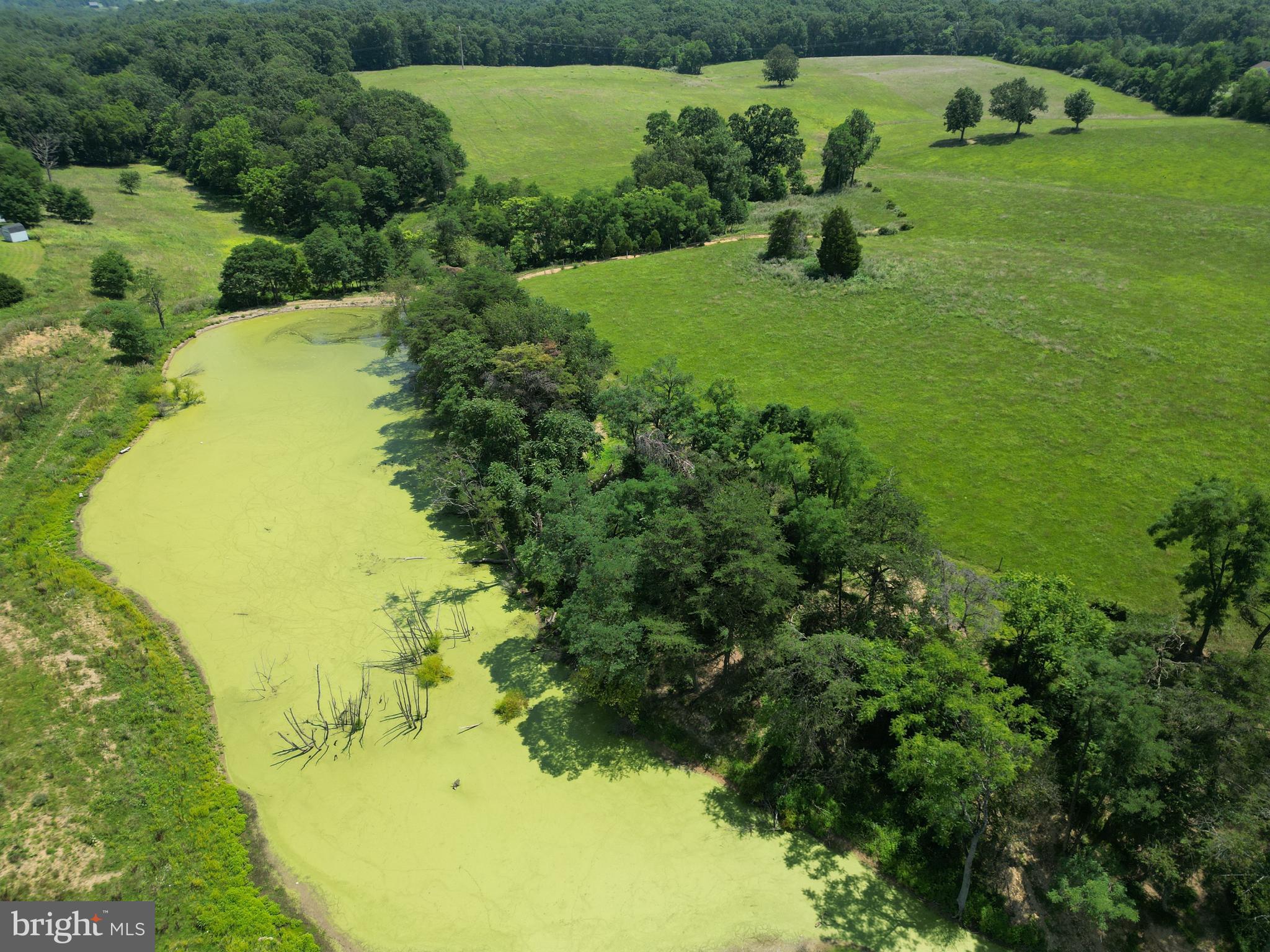 FOREST HEIGHTS - Farm