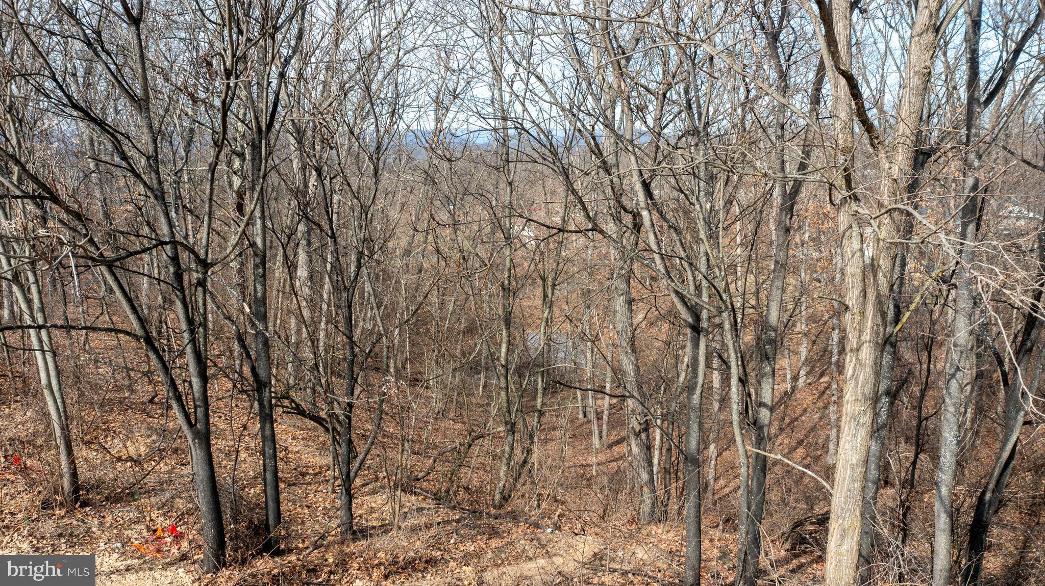 ASHBY CREST ESTATES - Land