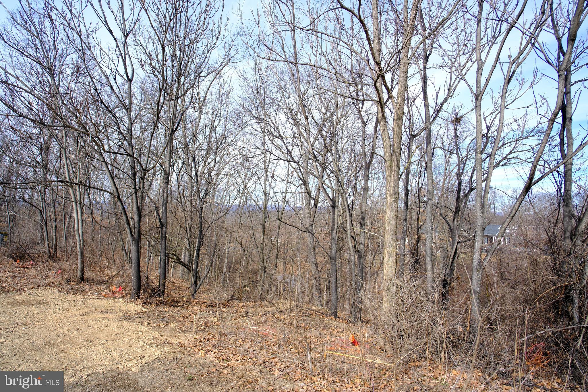 ASHBY CREST ESTATES - Land