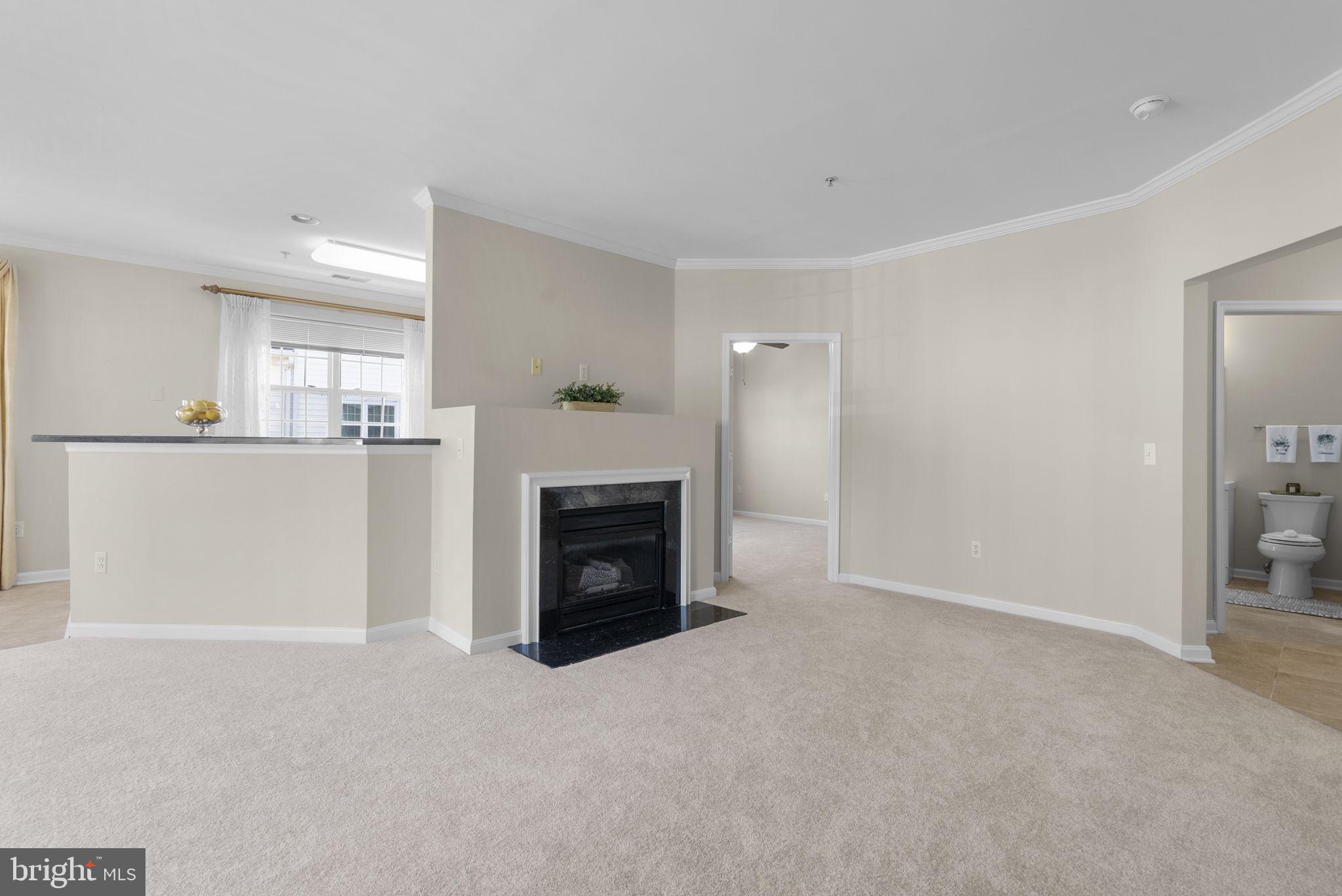 THE VILLAGE AT WAUGH CHAPEL - Residential