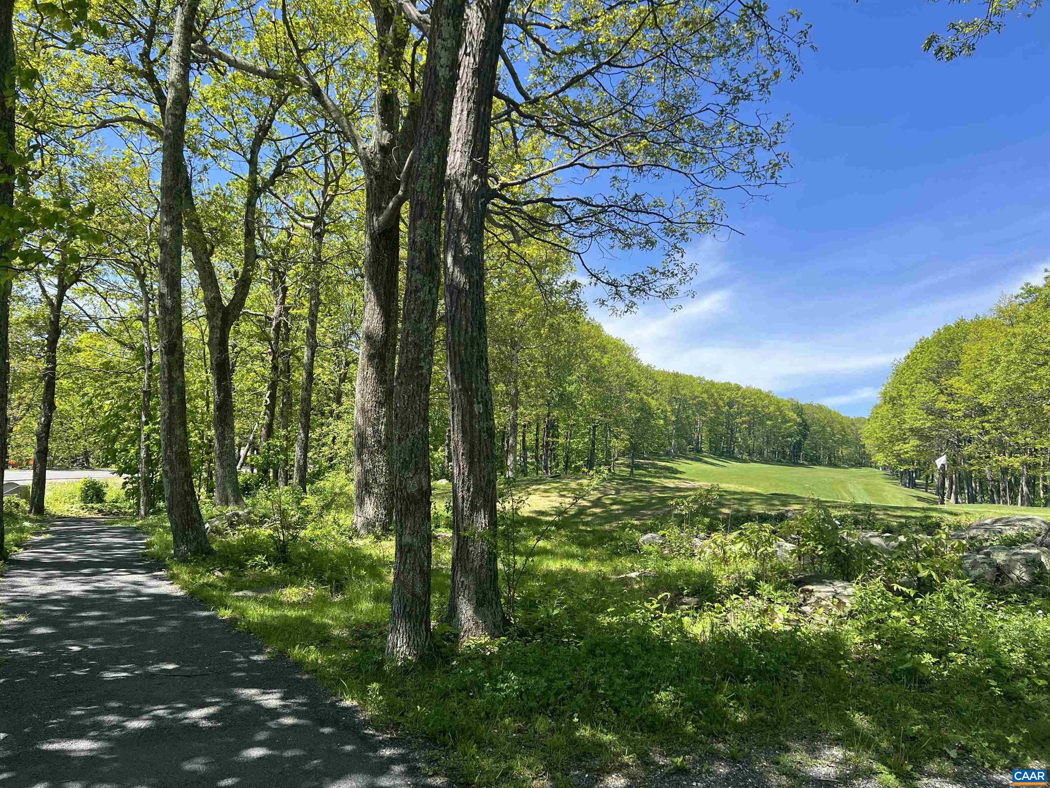 WINTERGREEN RESORT - Residential