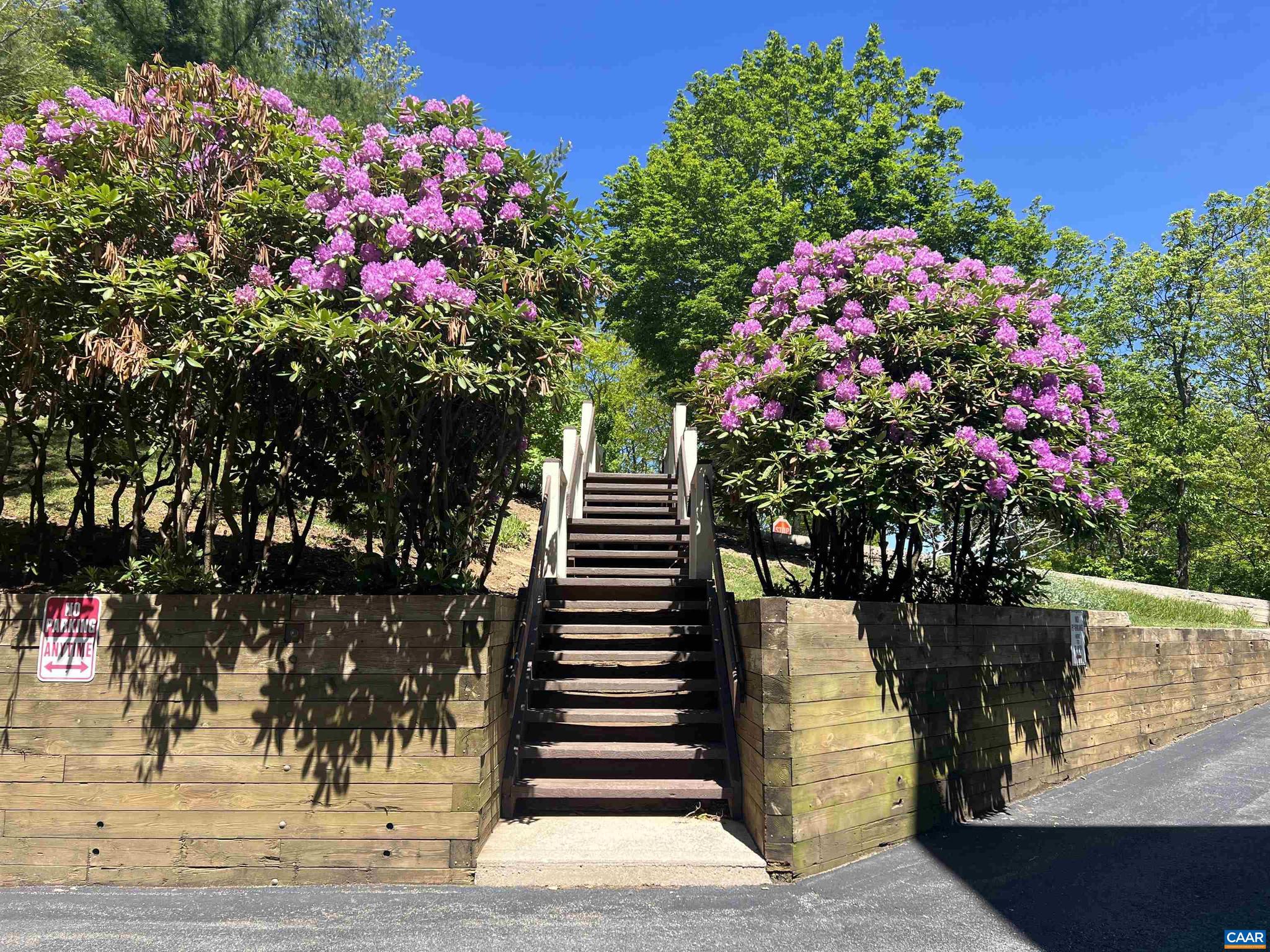 WINTERGREEN RESORT - Residential