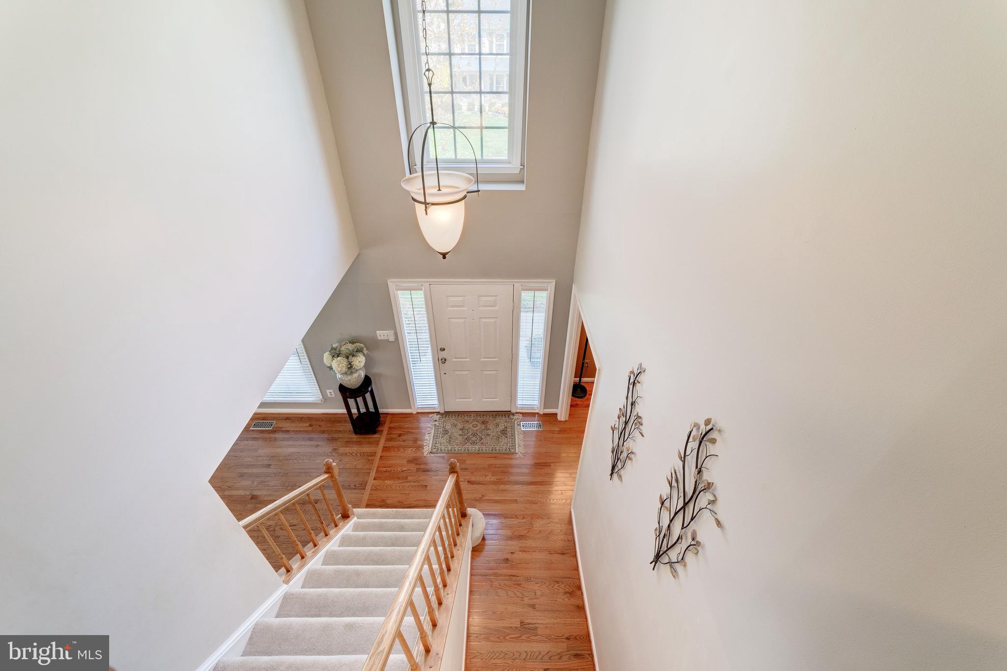 LITTLE ROCKY RUN - Residential