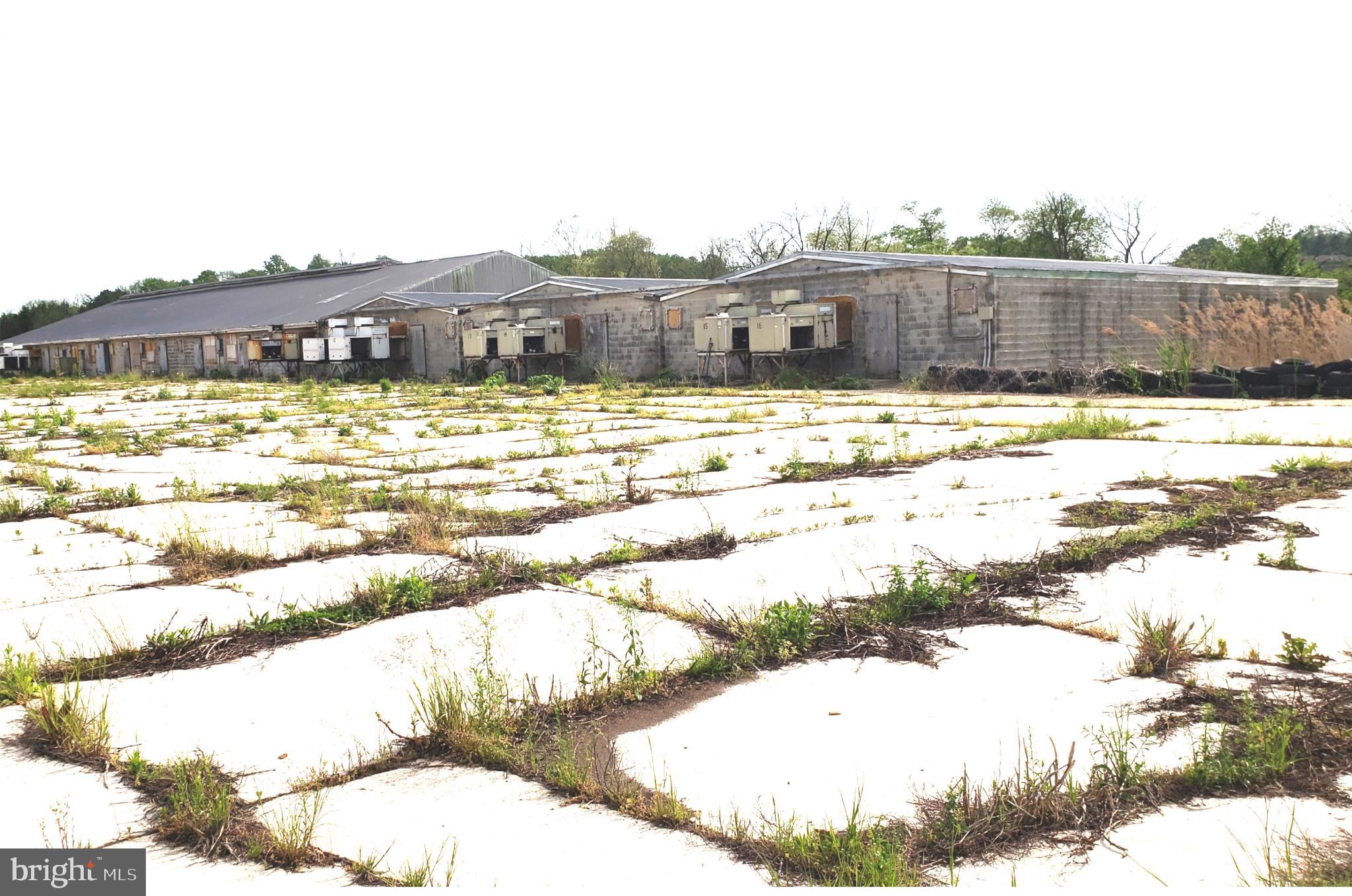 NONE AVAILABLE - Farm