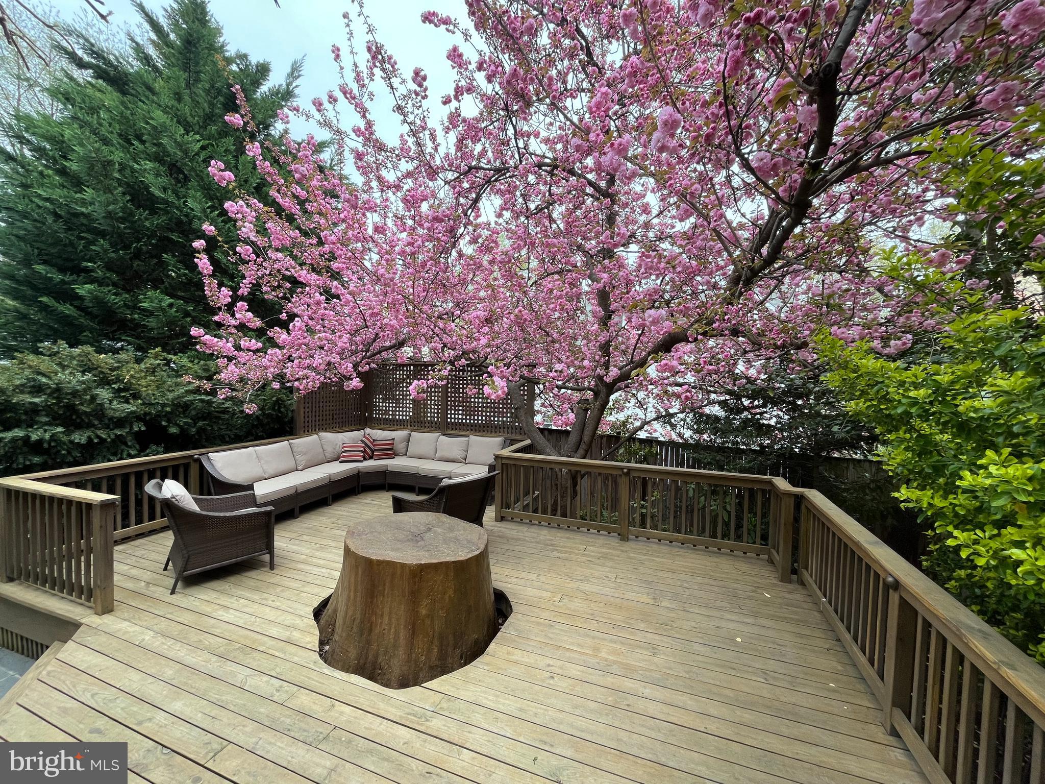 CHEVY CHASE - Residential