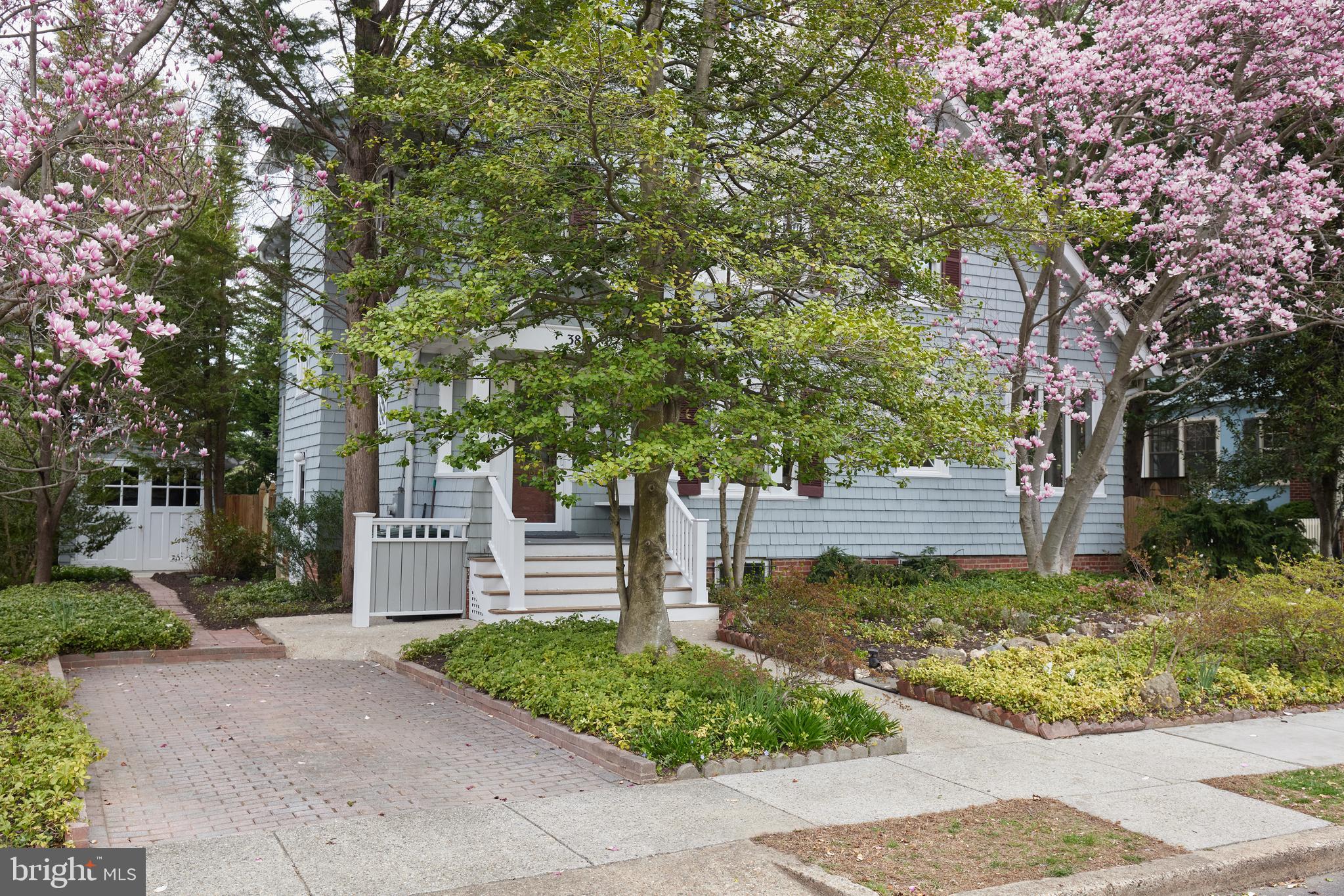 CHEVY CHASE - Residential