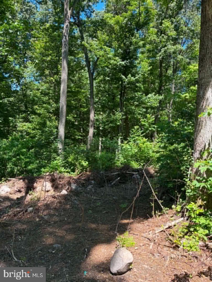 51 CABIN ROAD