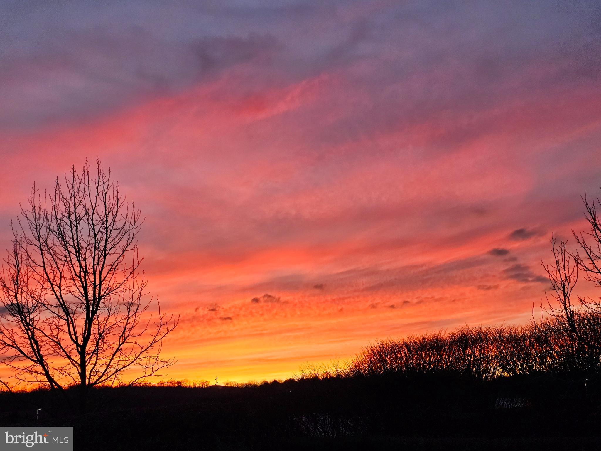 POCA BELLA FARM - Residential