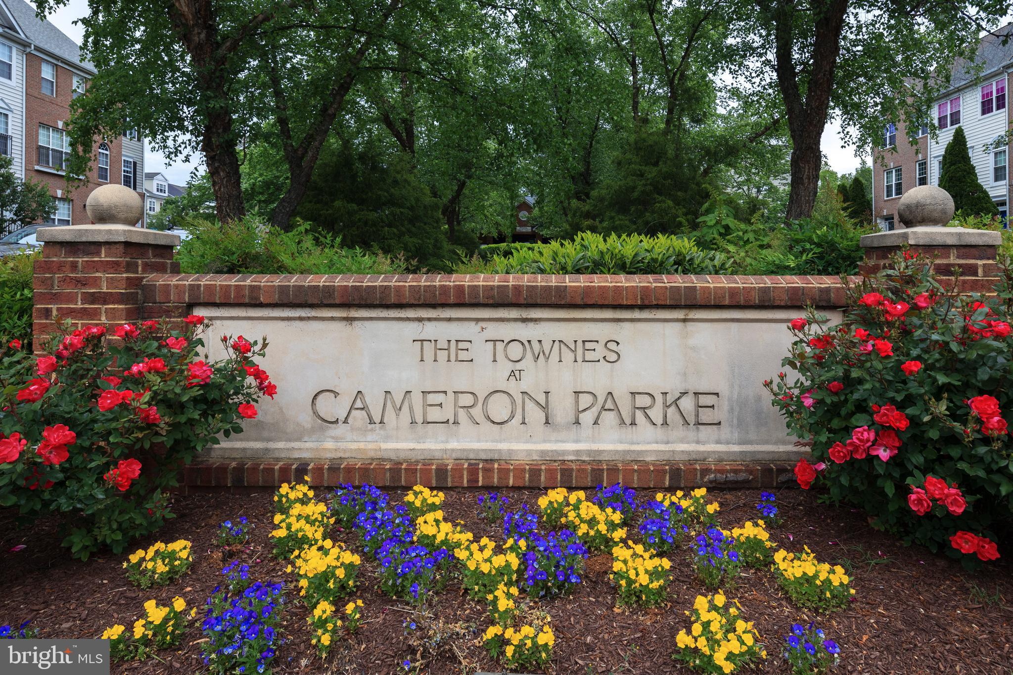 TOWNES AT CAMERON PARKE - Residential