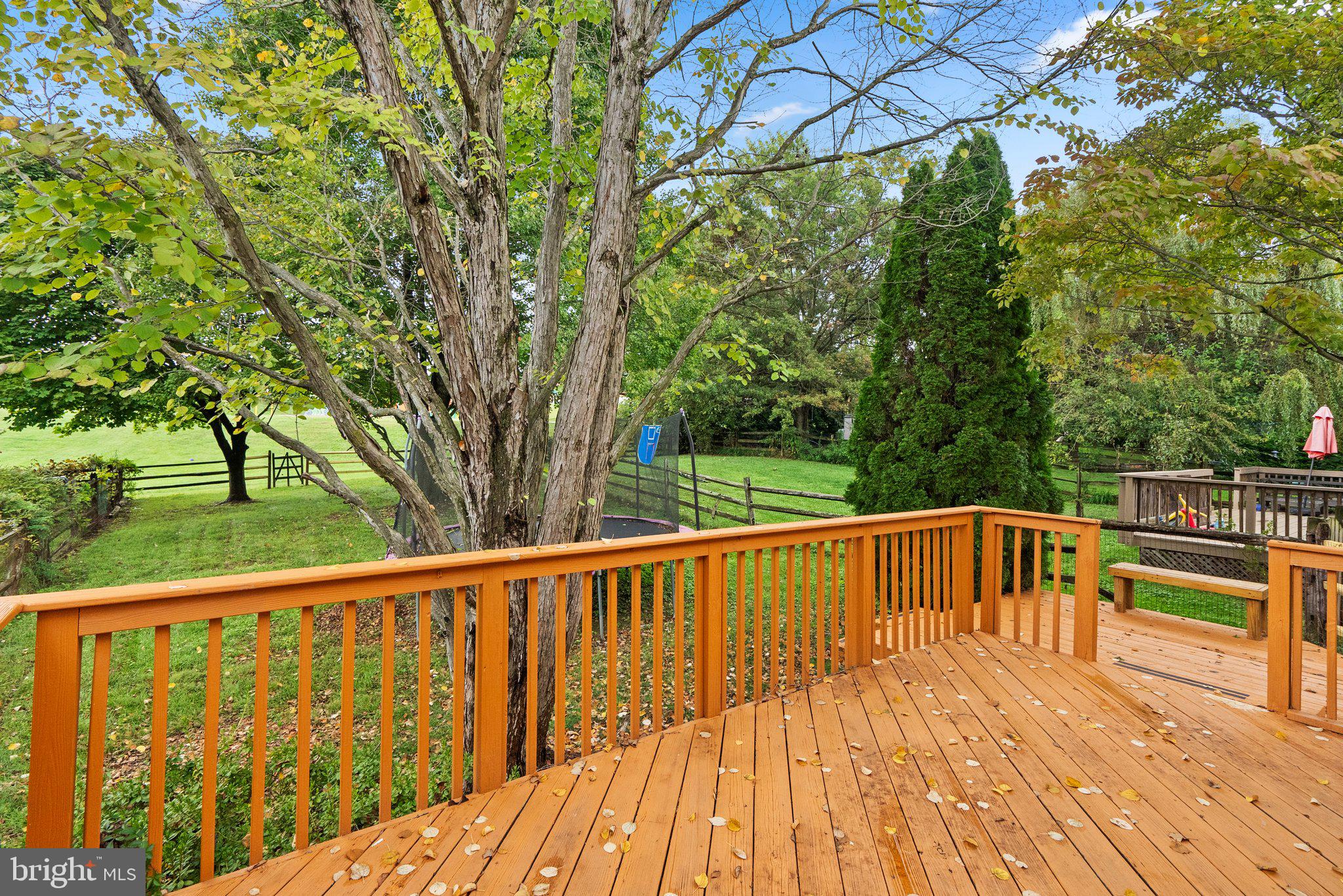 CHADSWOOD - Residential