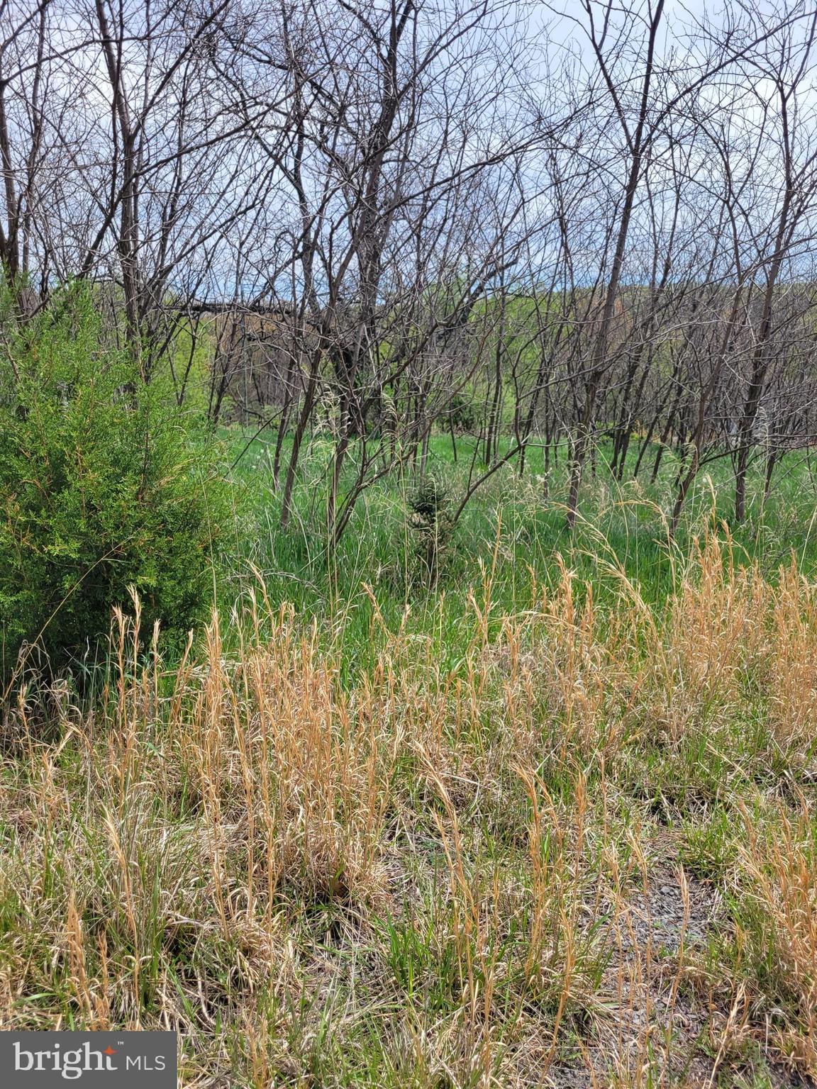 231 STONEY APPLE DRIVE